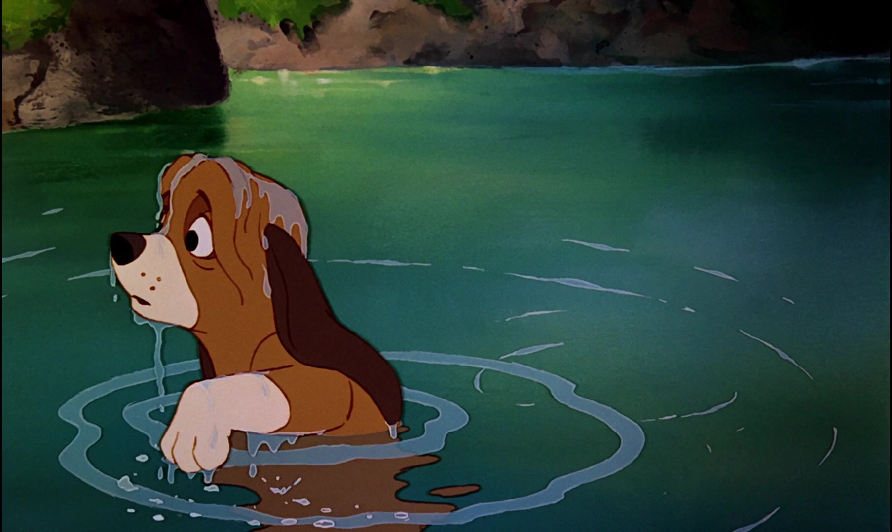 The Fox and the Hound Screencap | Fancaps