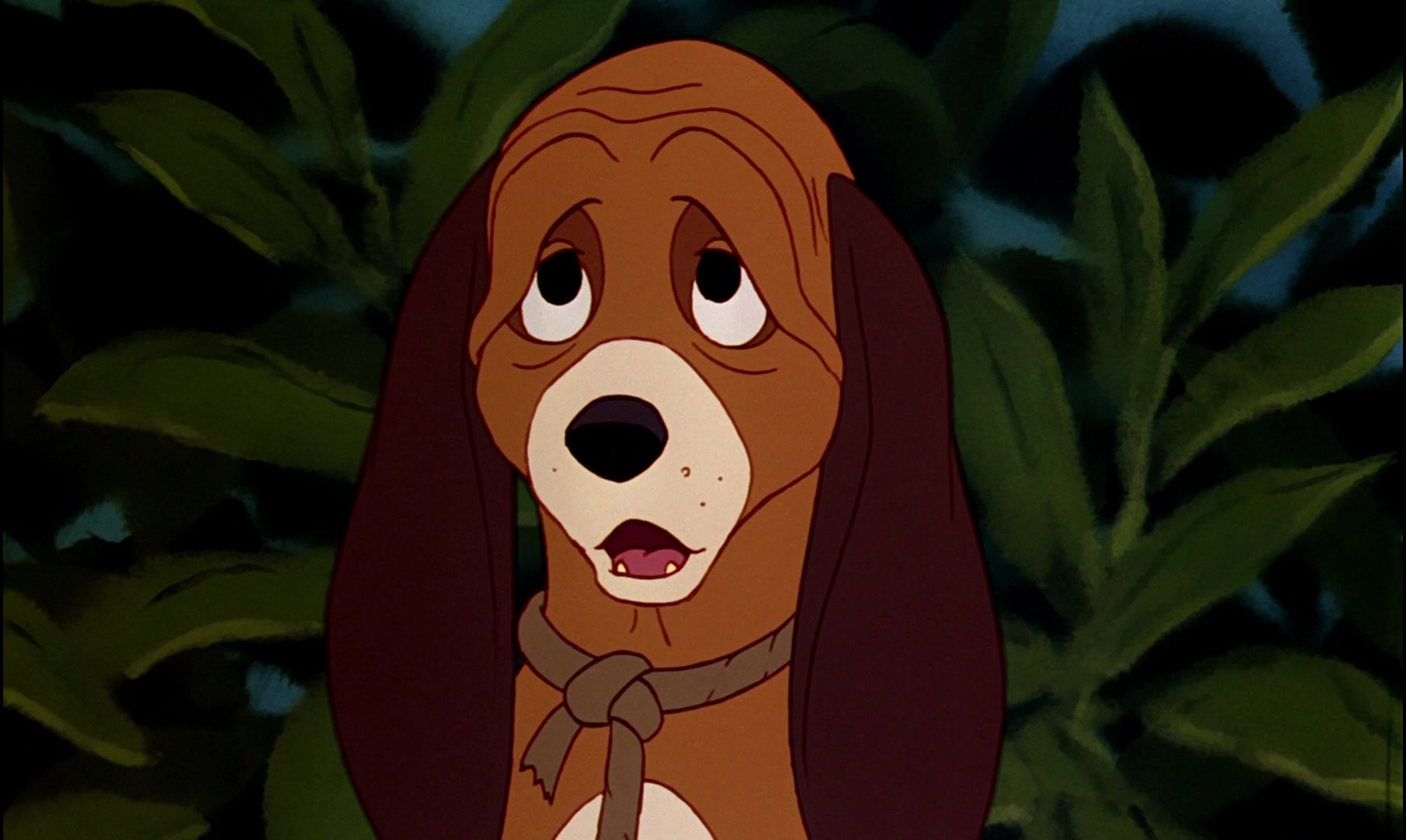 The Fox and the Hound Screencap | Fancaps