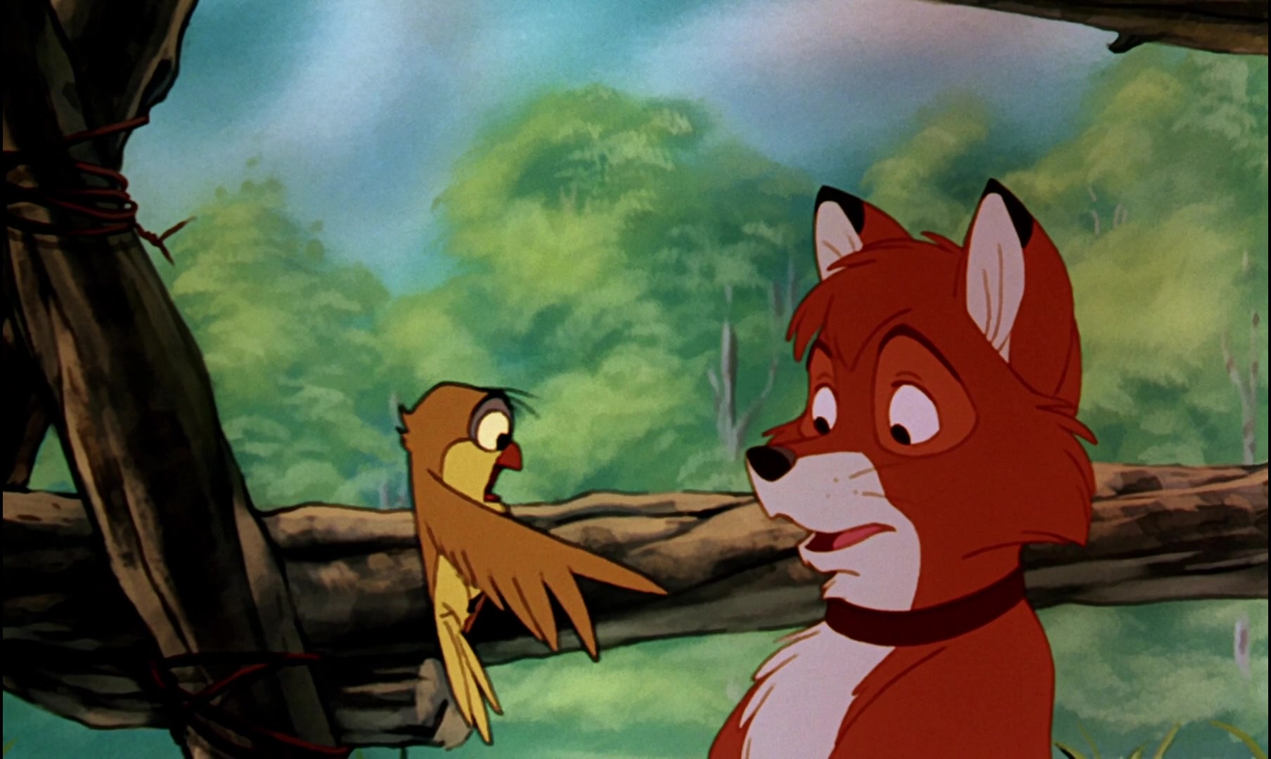 The Fox and the Hound Screencap | Fancaps