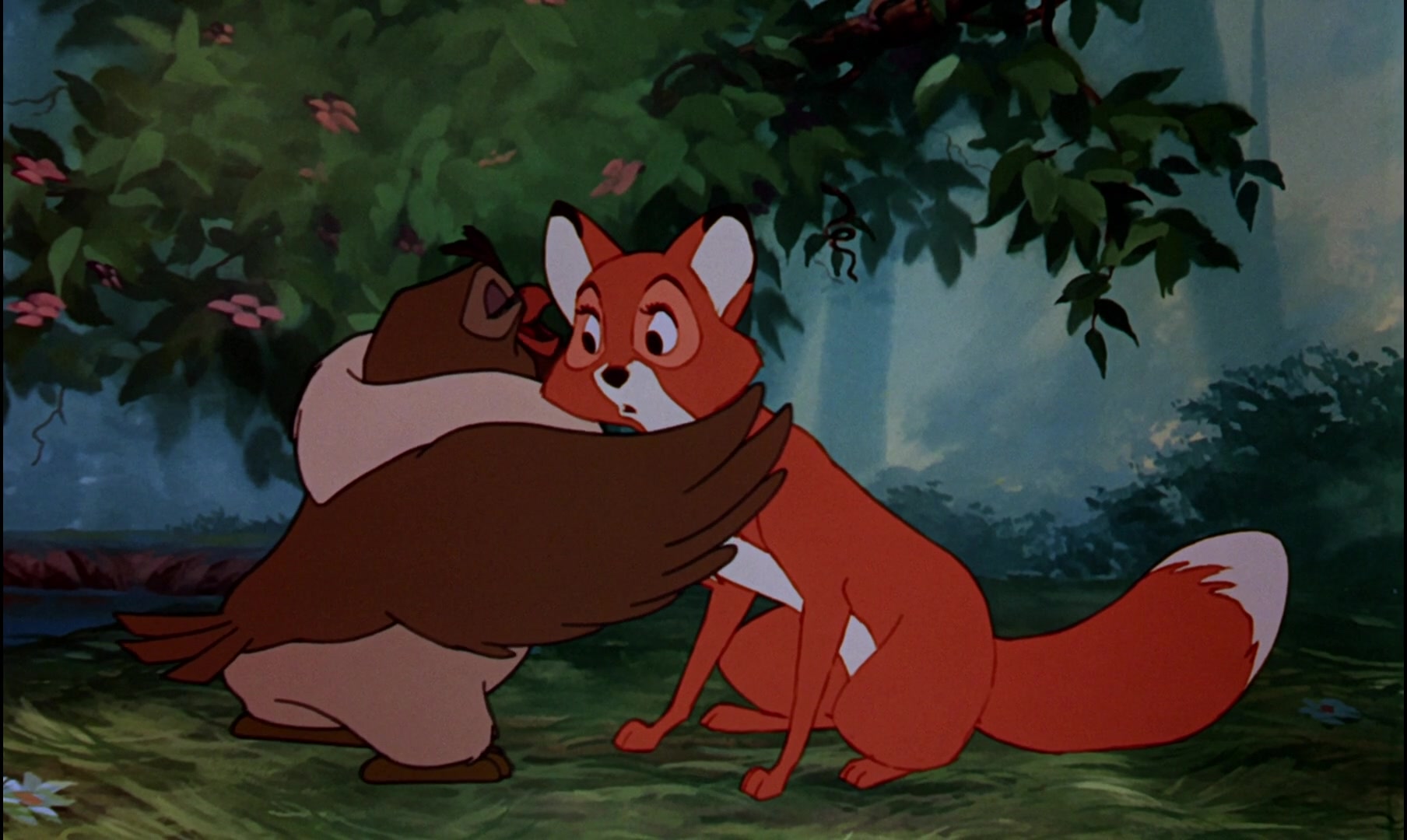 The fox and the bear. The Fox and the Hound Эра. Fox and the Hound Yaoi. Fox Fish. The story of the Fox and the Bear.