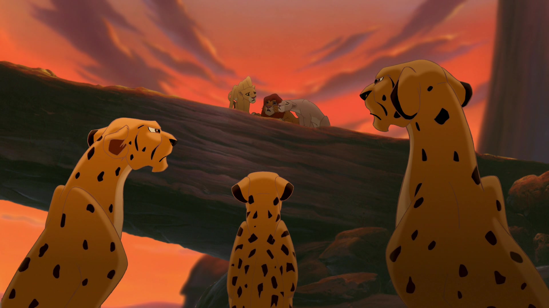 The Lion King Ii Simba S Pride Screencap Fancaps