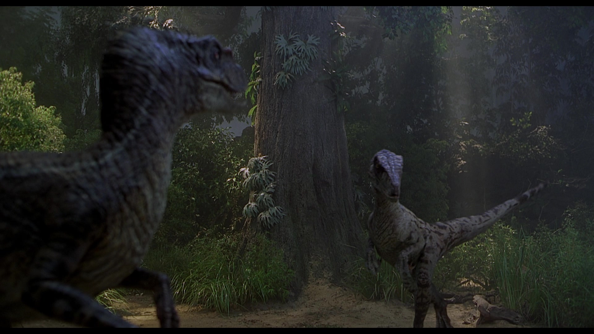 Jurassic Park III Screencap | Fancaps