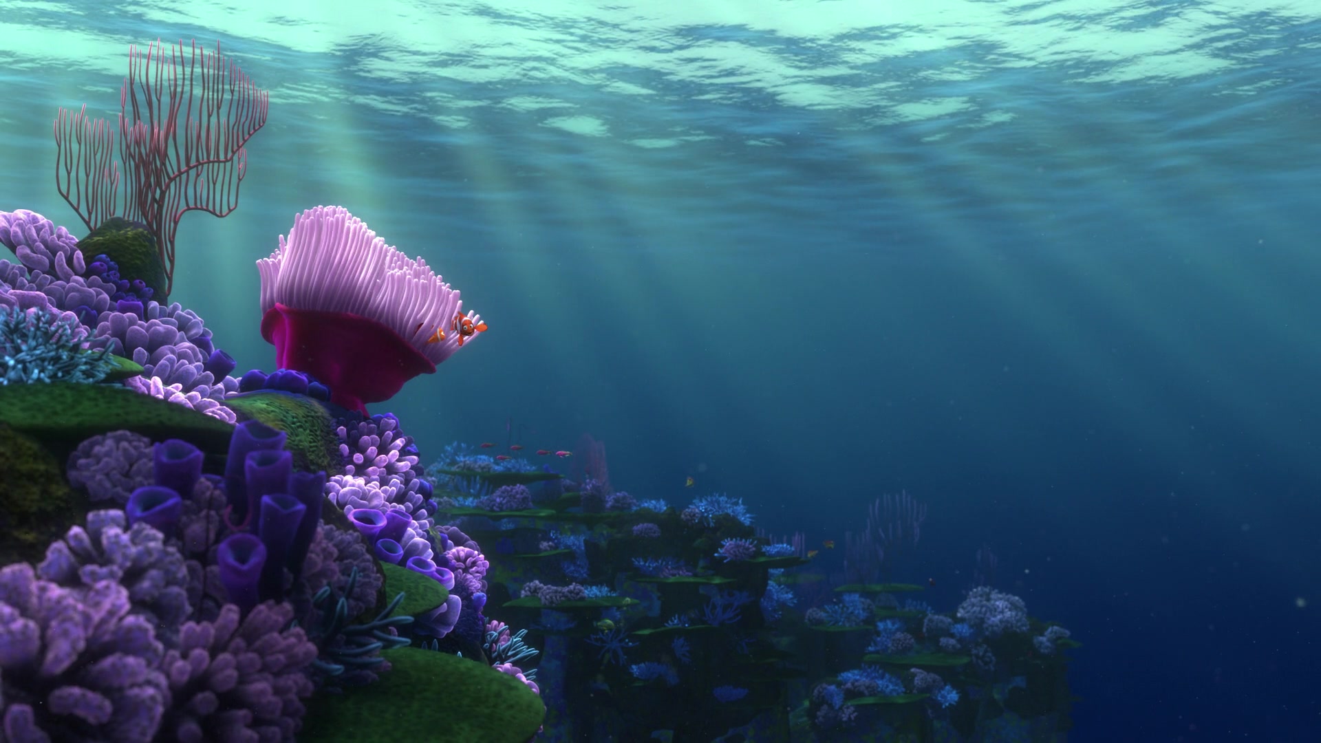 Finding Nemo (2003) Screencap