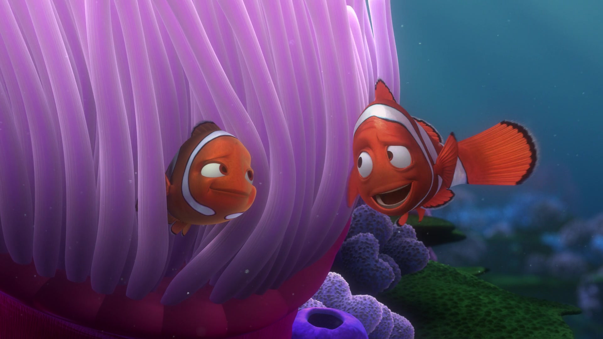 Finding Nemo (2003) Screencap | Fancaps