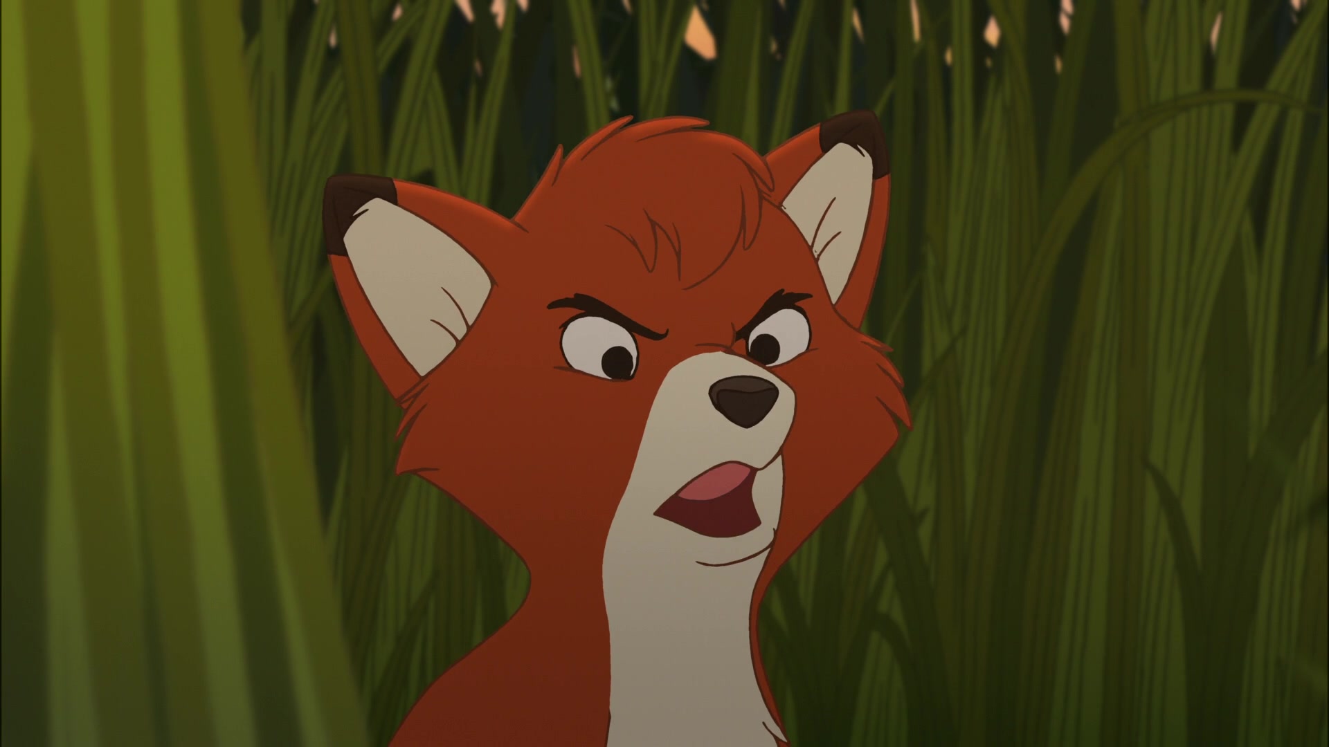 The fox and the hound screencaps