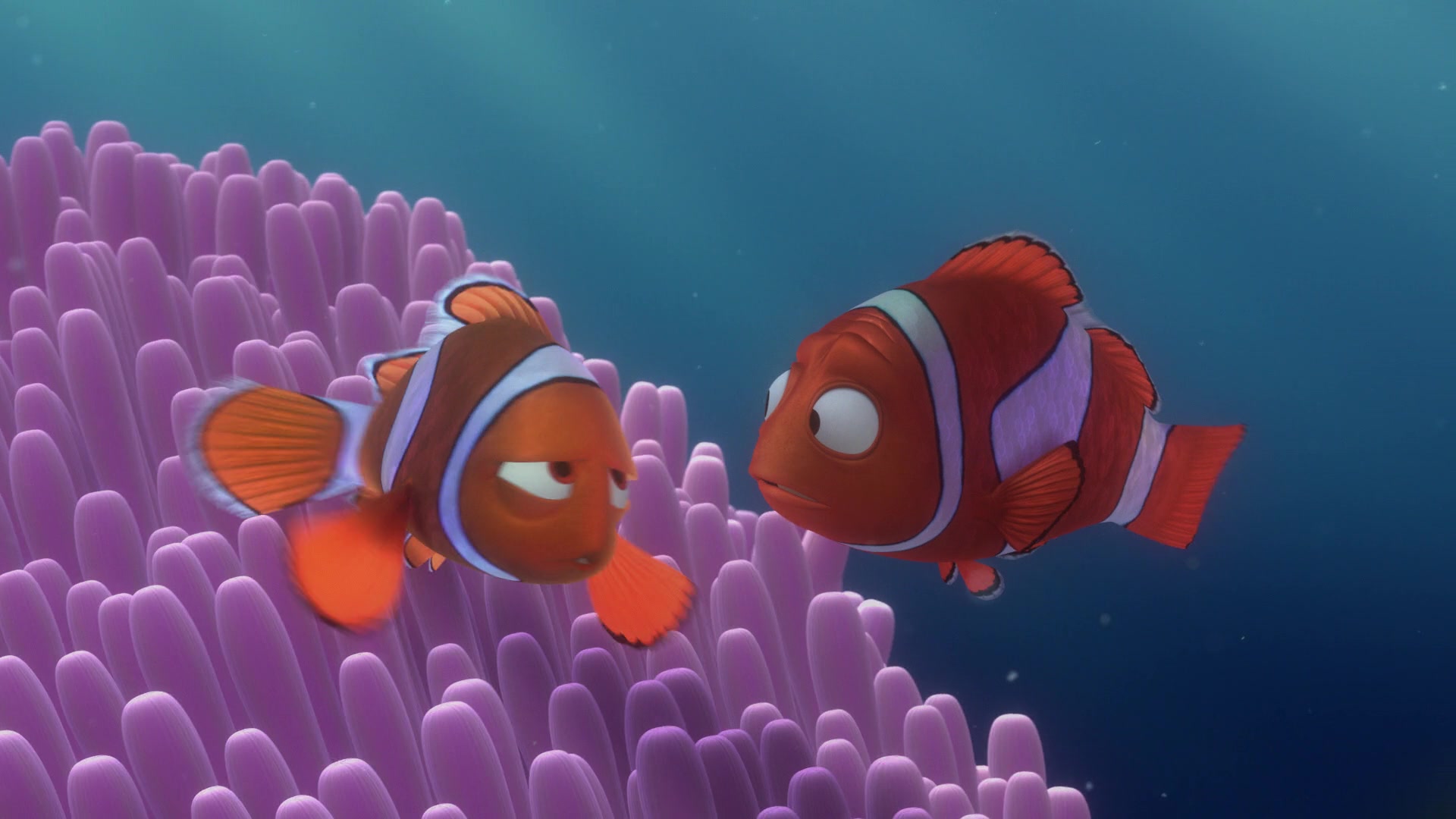 Finding Nemo (2003) Screencap | Fancaps