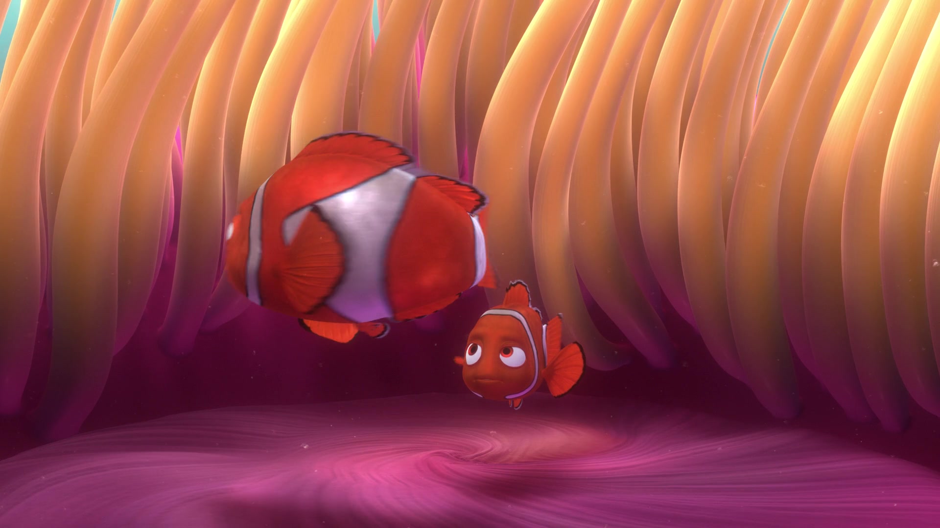 Finding Nemo (2003) Screencap | Fancaps