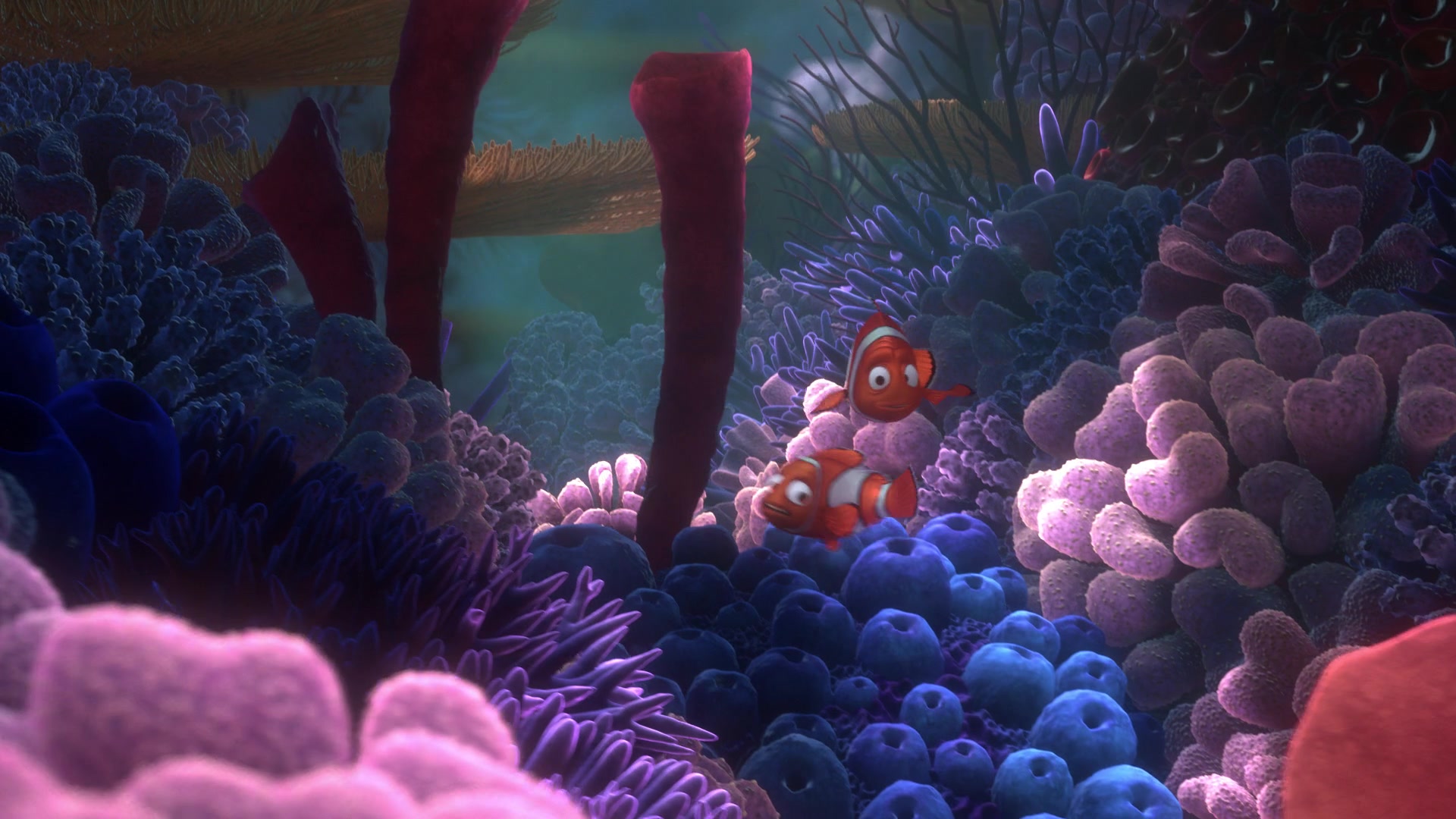 Finding Nemo (2003) Screencap | Fancaps