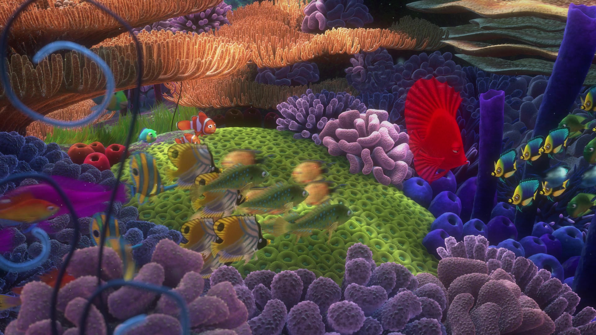 Finding Nemo (2003) Screencap | Fancaps