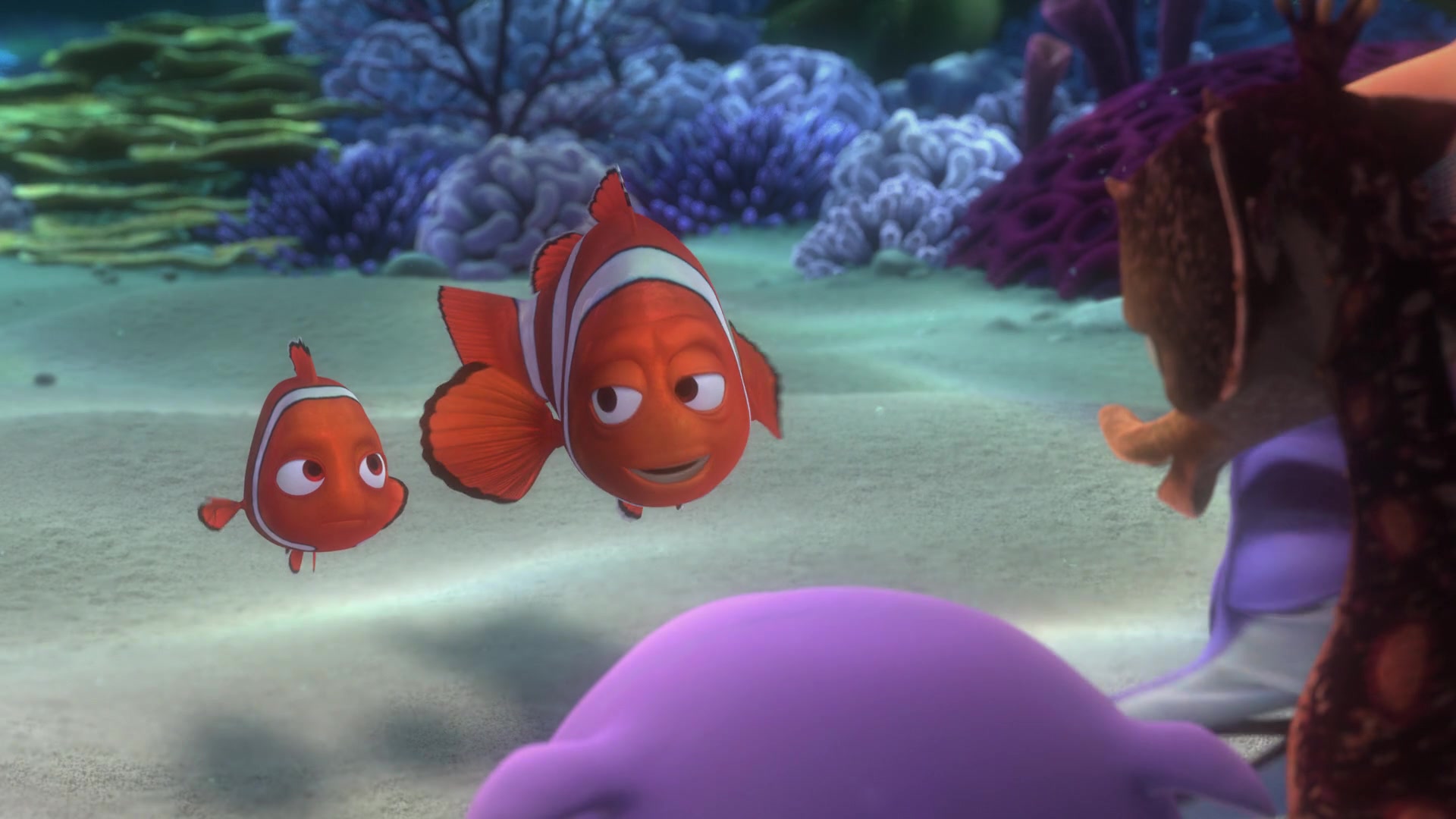 Finding Nemo (2003) Screencap | Fancaps