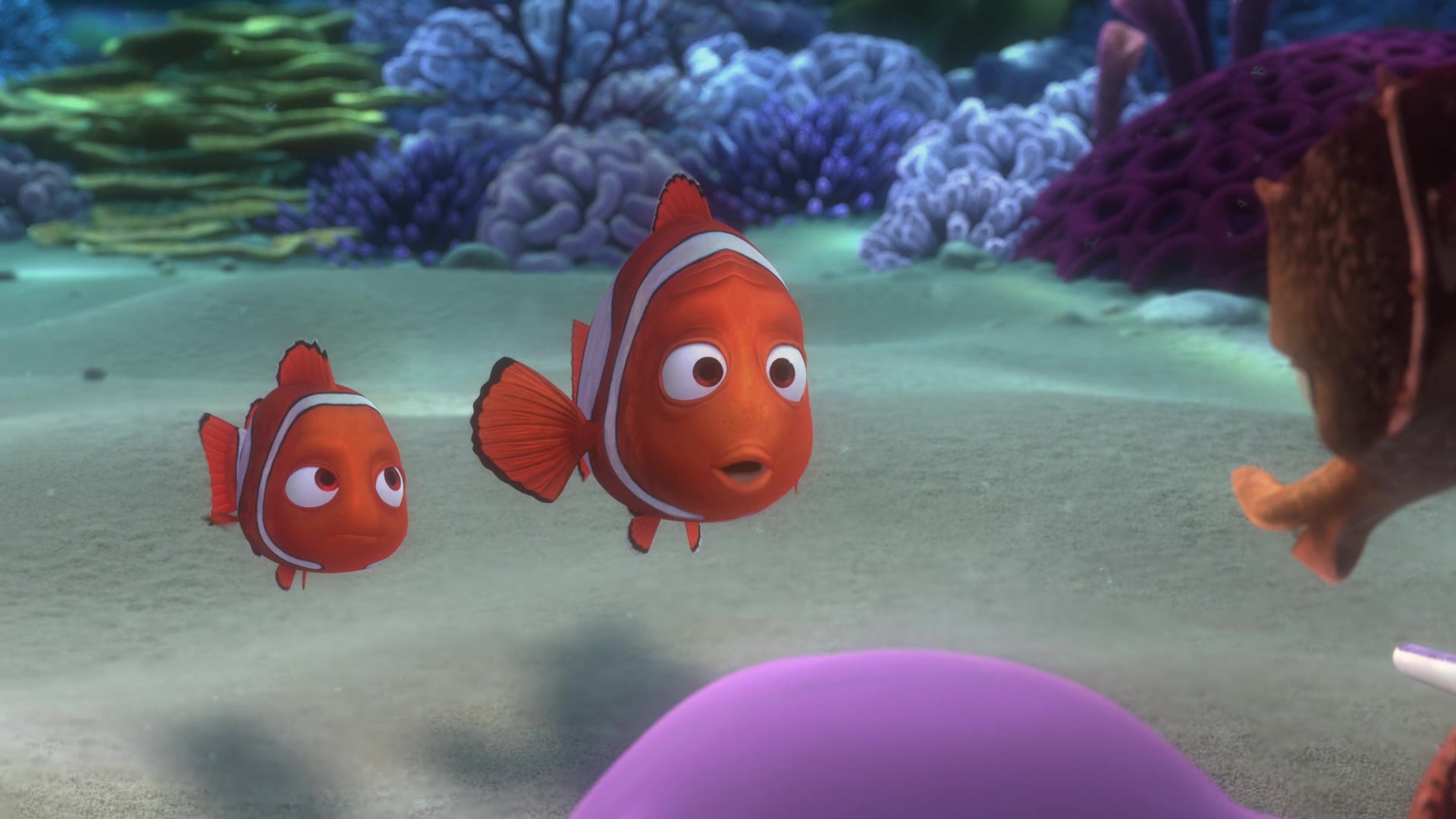 Finding Nemo (2003) Screencap | Fancaps