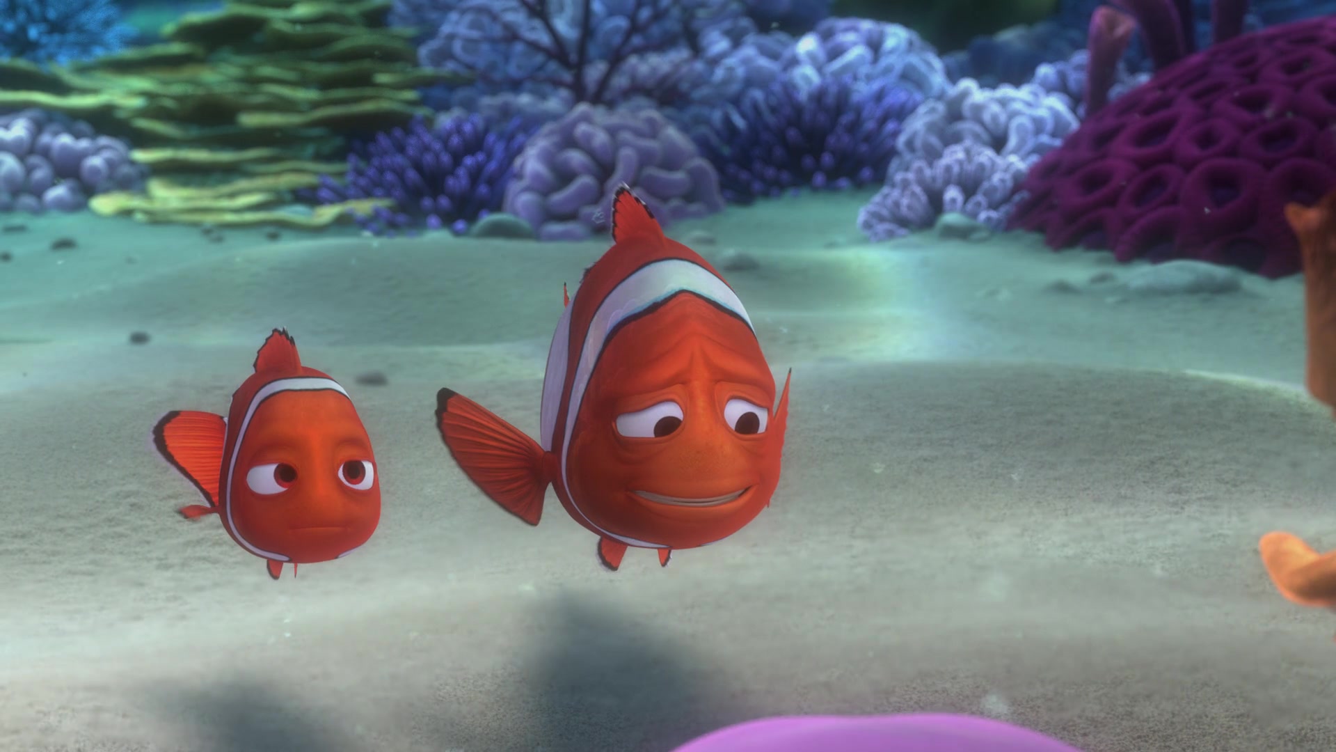 Finding Nemo (2003) Screencap | Fancaps