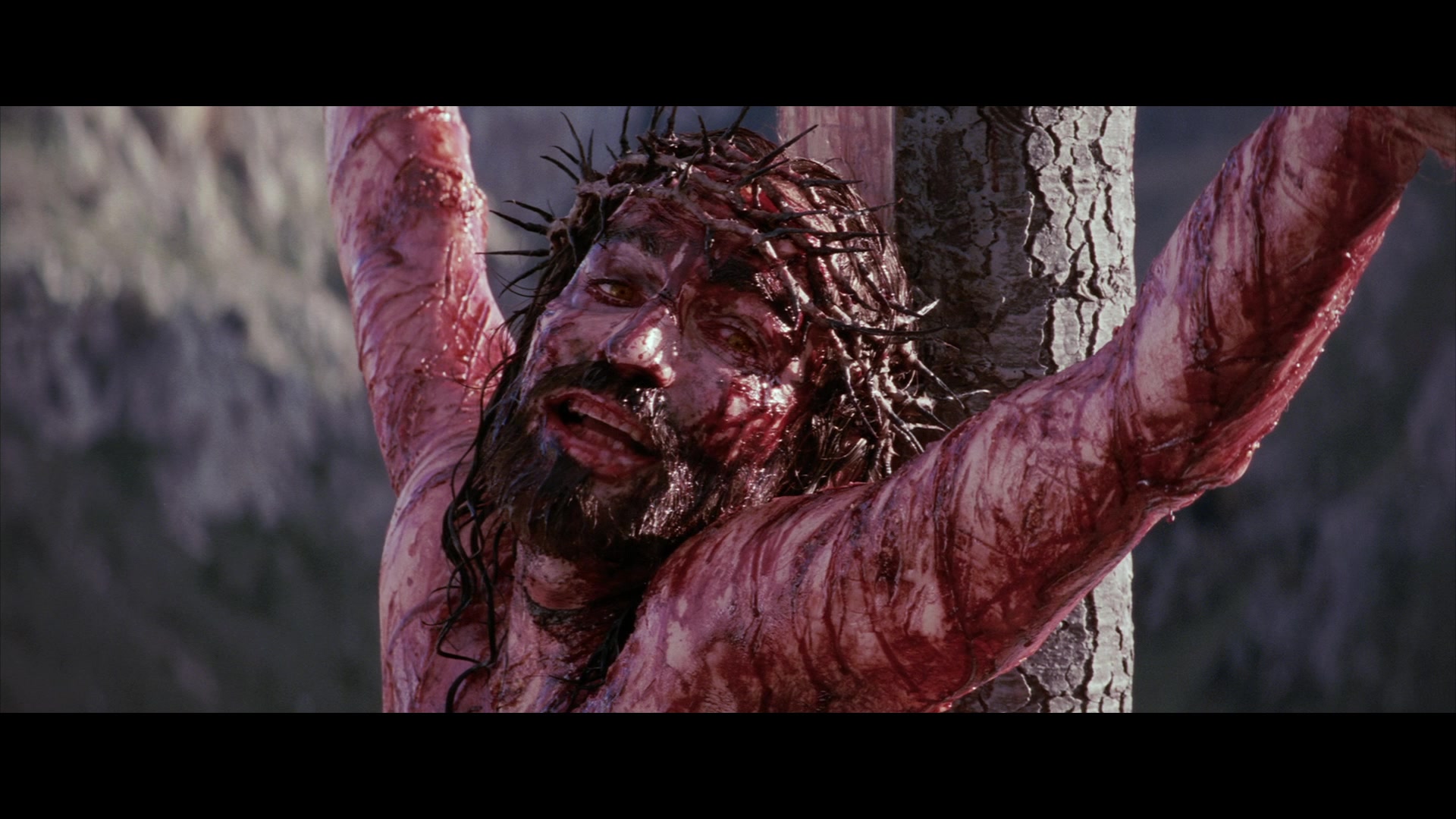 The Passion of the Christ (2004) Screencap | Fancaps