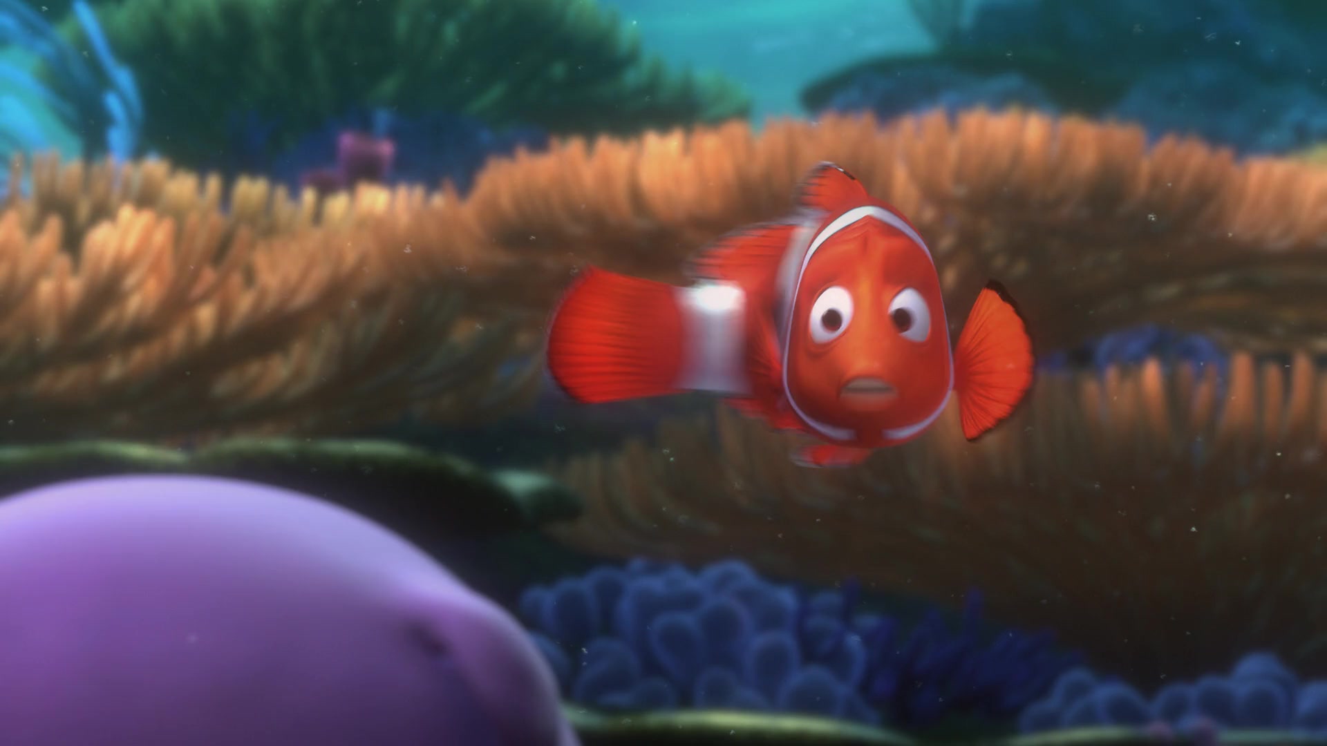 Finding Nemo (2003) Screencap | Fancaps