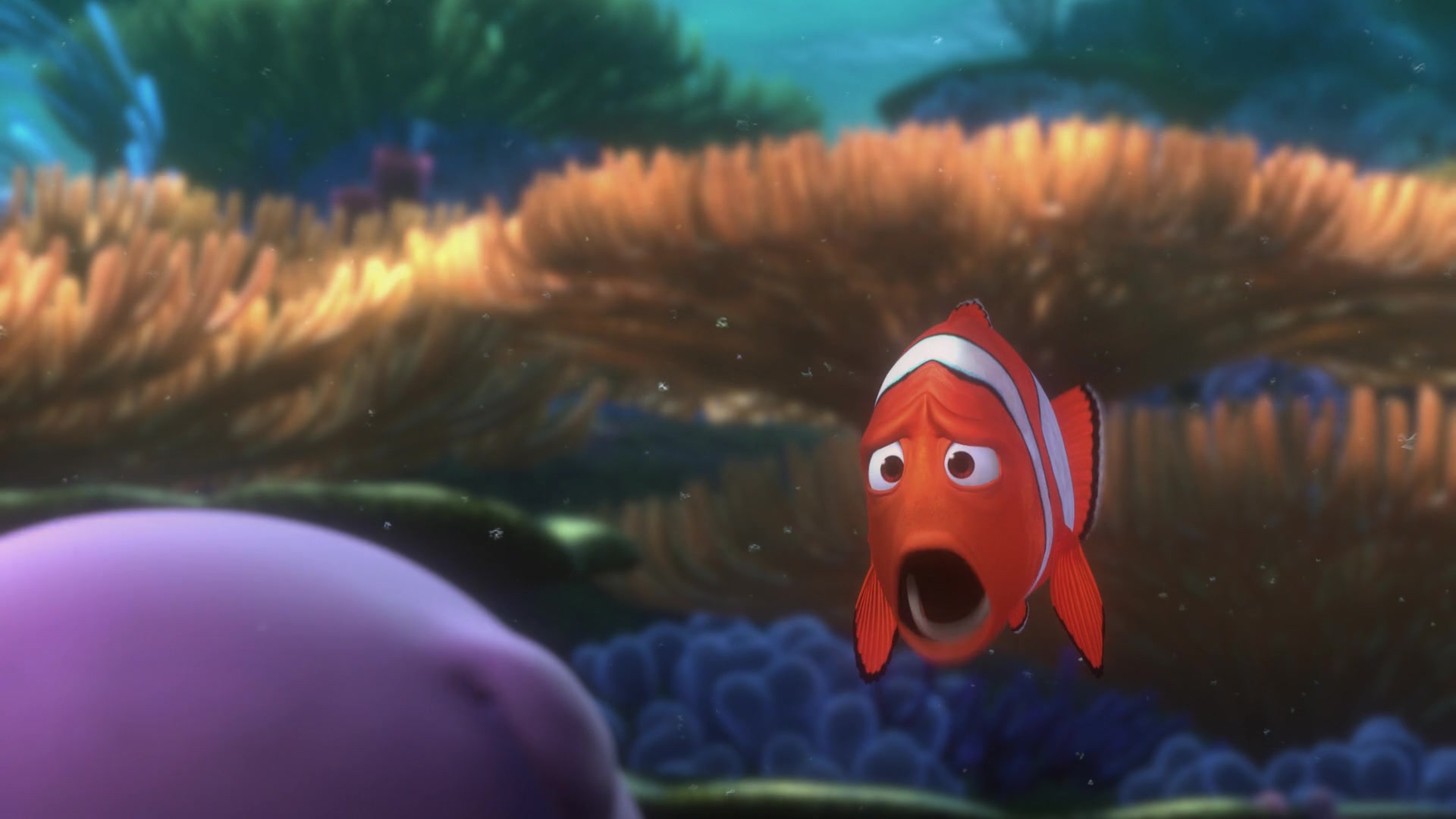 Finding Nemo (2003) Screencap | Fancaps