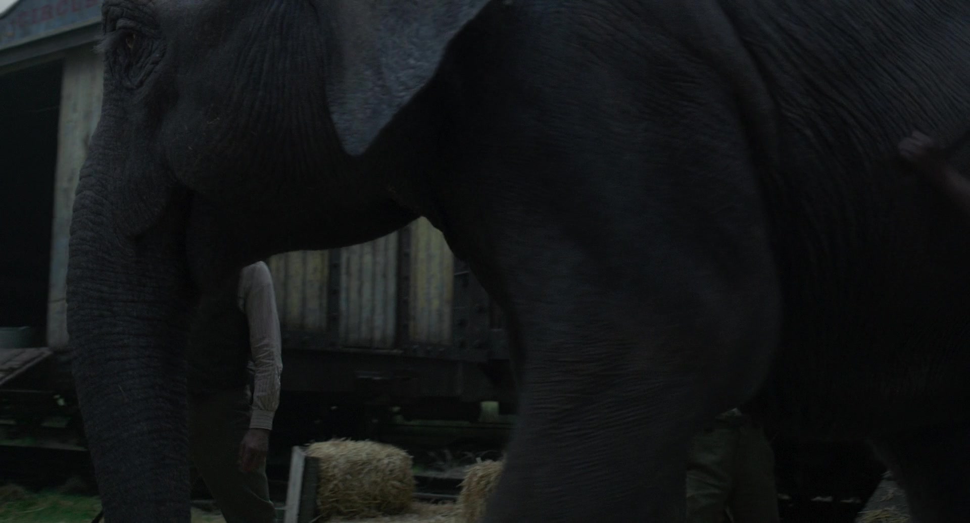 Dumbo (2019) Screencap | Fancaps