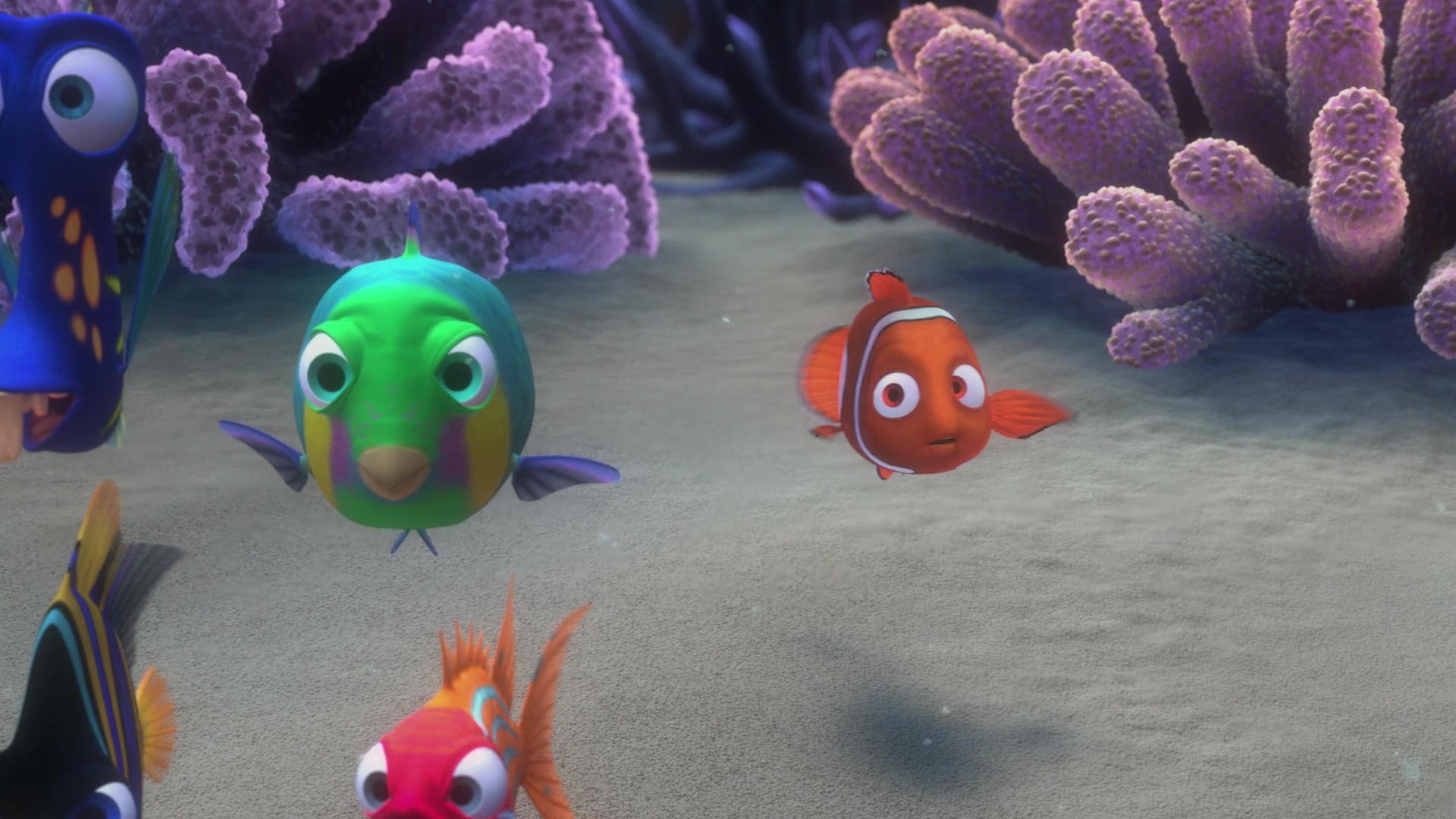 Finding Nemo (2003) Screencap | Fancaps