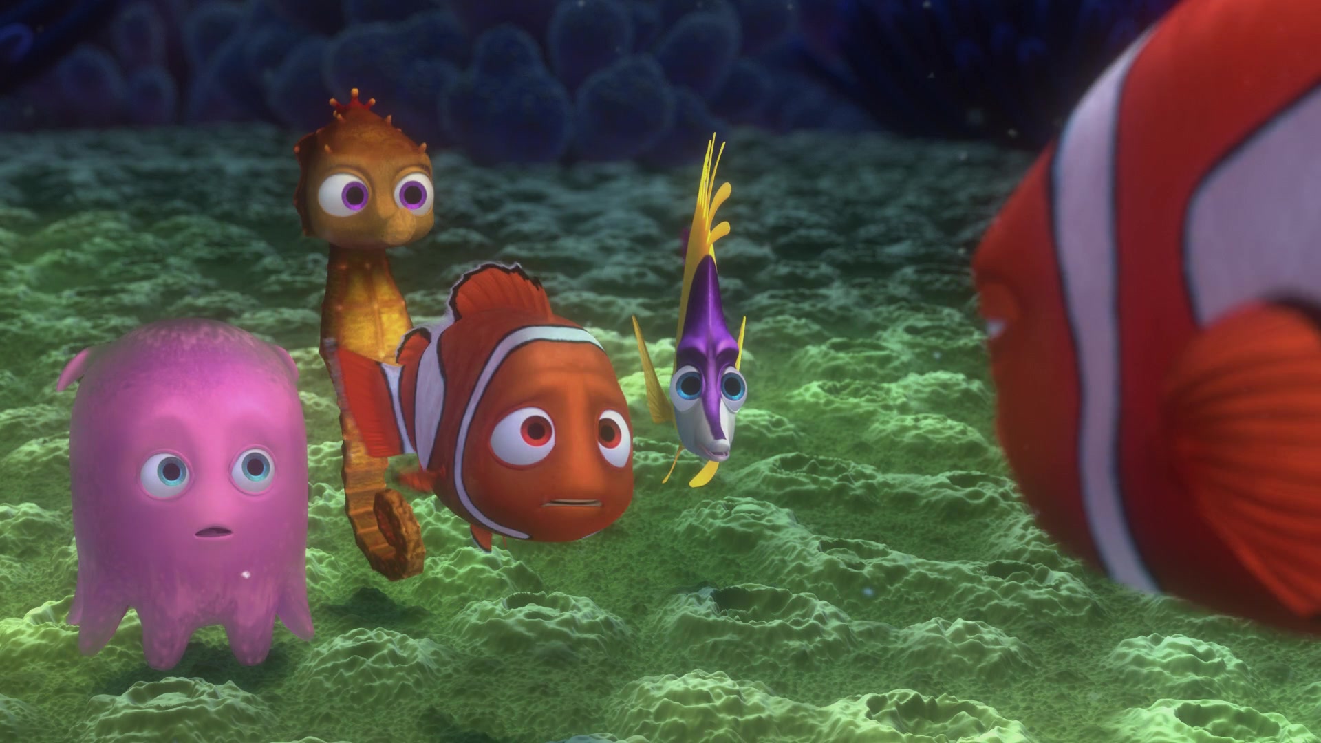 Finding Nemo (2003) Screencap | Fancaps