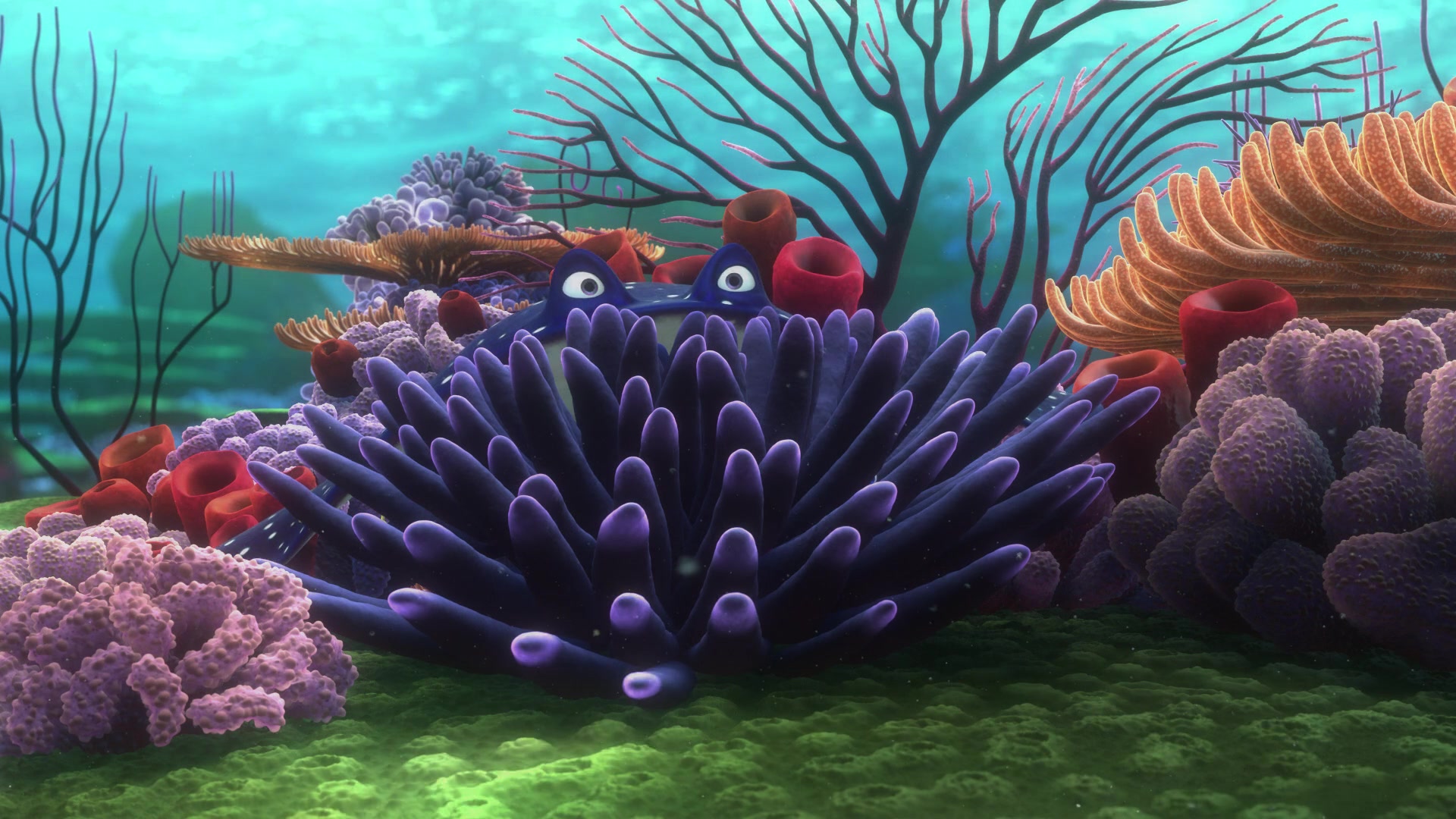 Finding Nemo (2003) Screencap | Fancaps