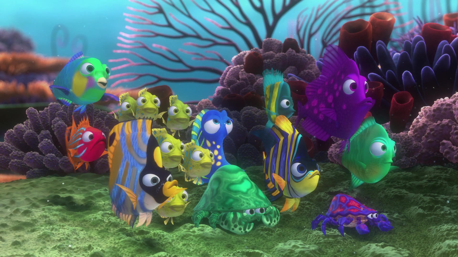 Finding Nemo (2003) Screencap | Fancaps