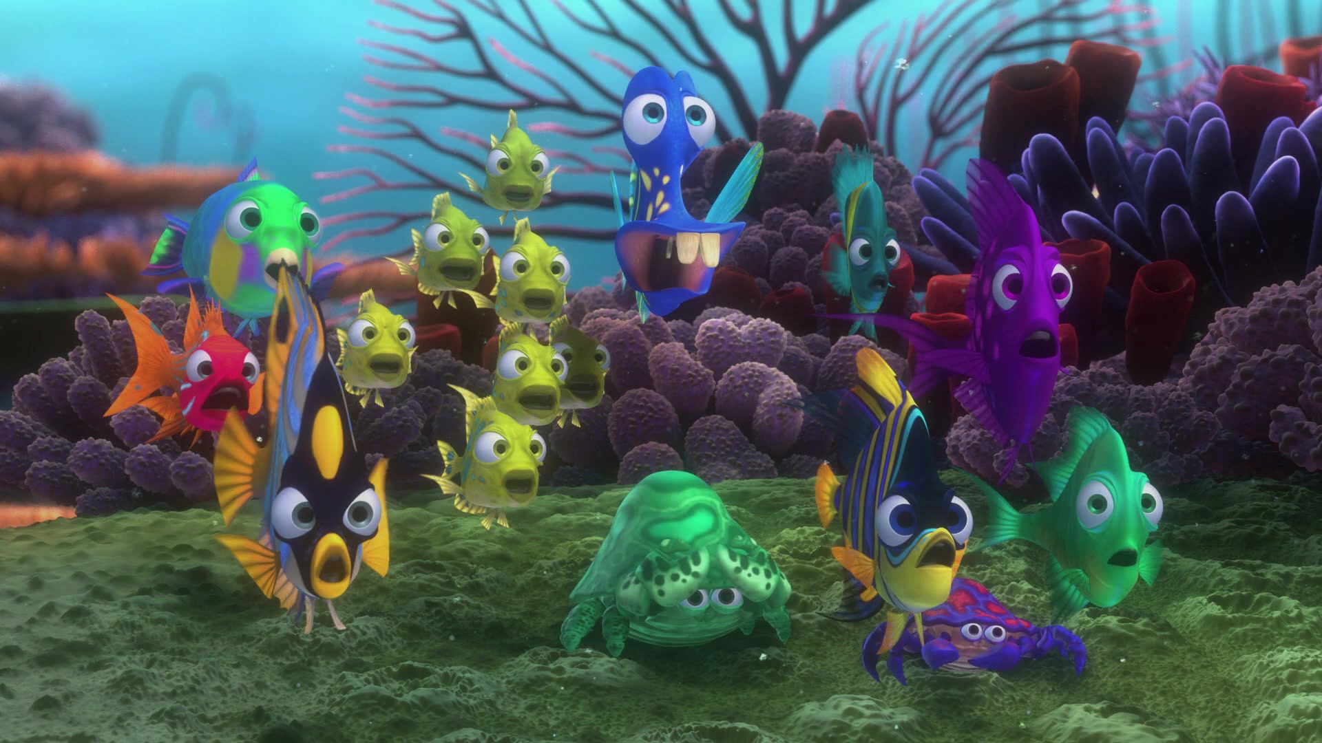 Finding Nemo (2003) Screencap | Fancaps