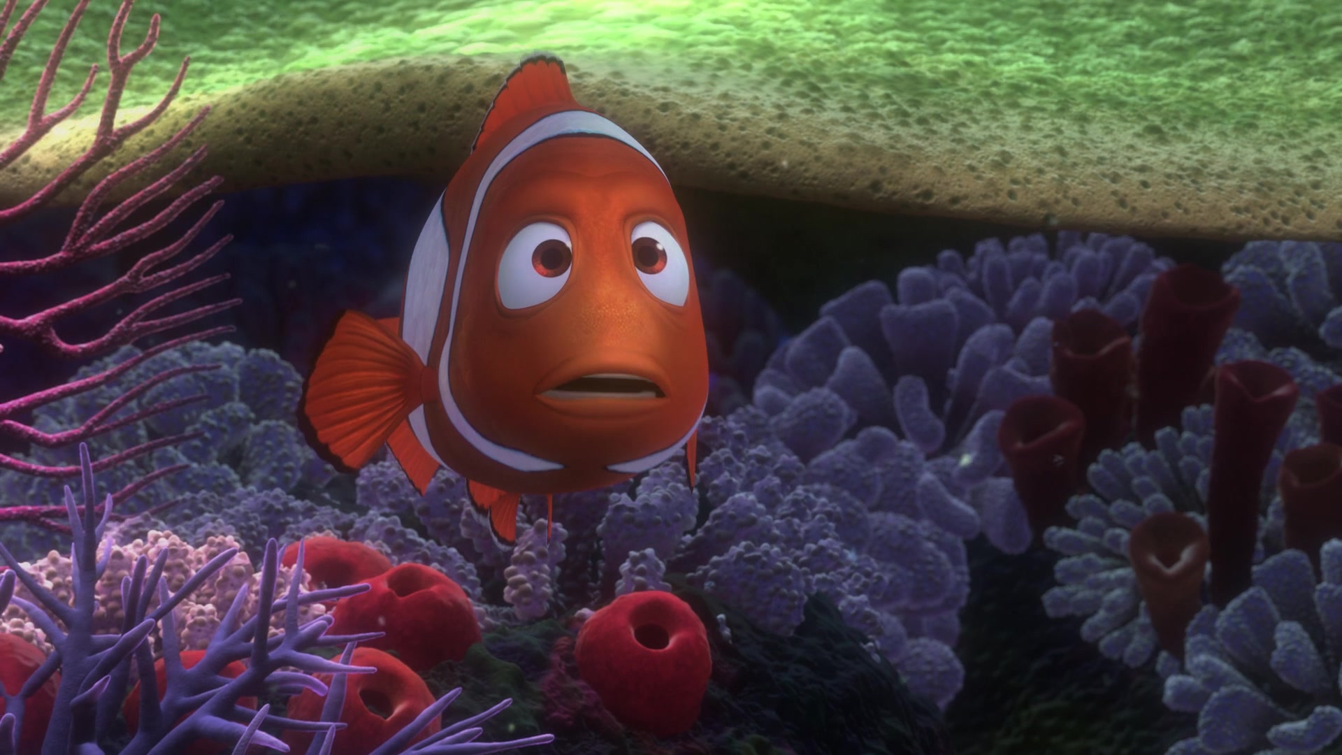 Finding Nemo (2003) Screencap | Fancaps