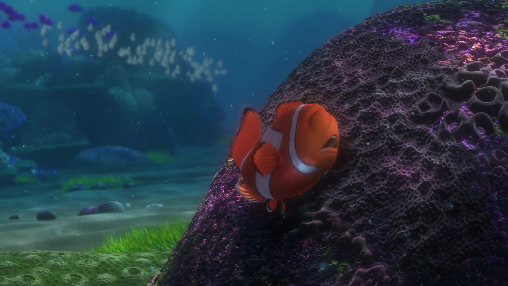 Finding Nemo (2003) Screencap | Fancaps