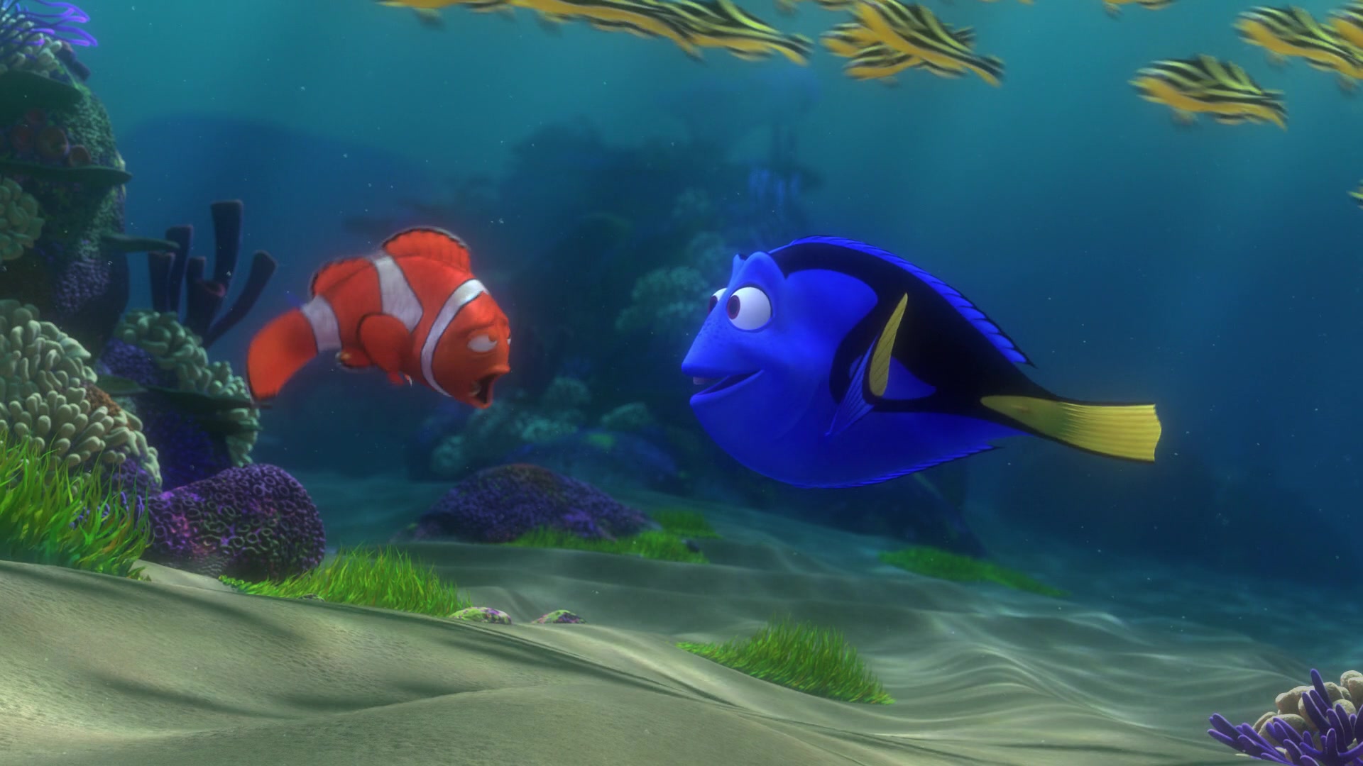 Finding Nemo (2003) Screencap | Fancaps