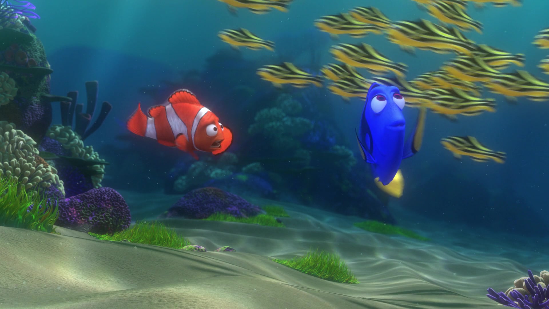 Finding Nemo (2003) Screencap | Fancaps