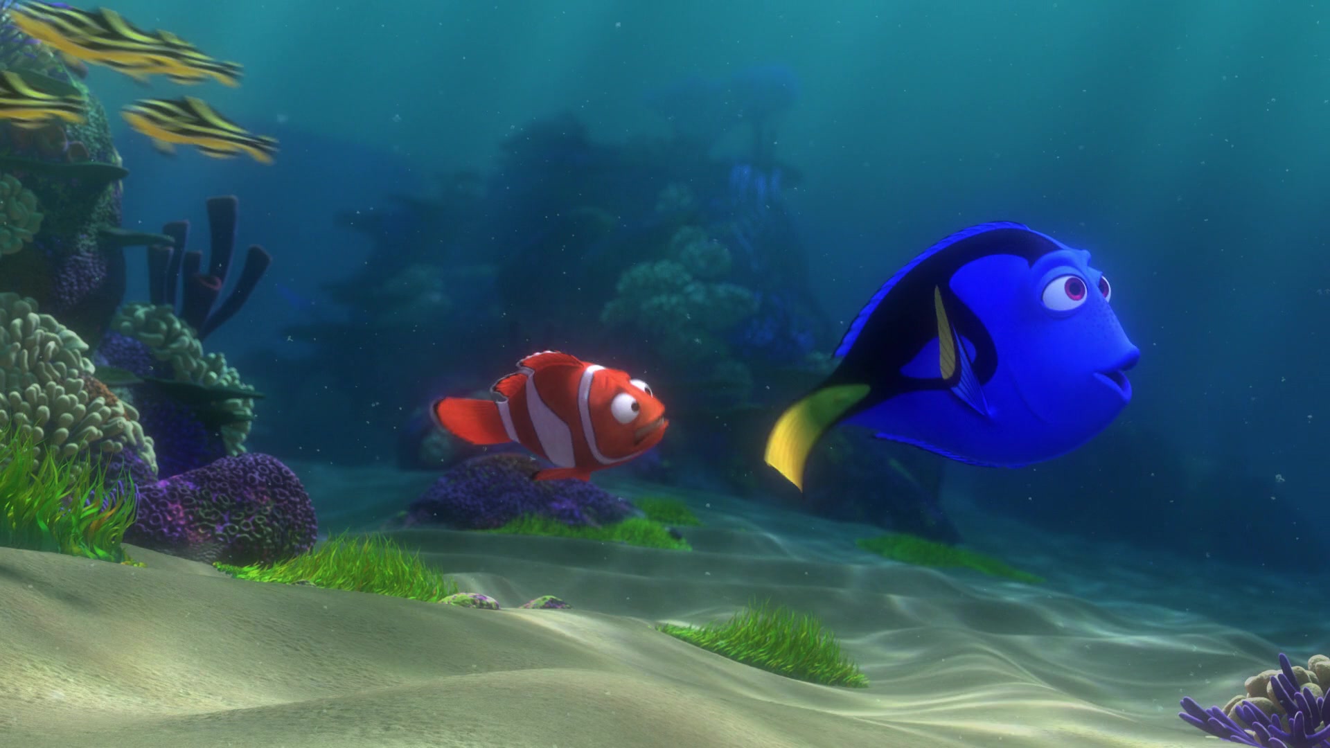 Finding Nemo (2003) Screencap 