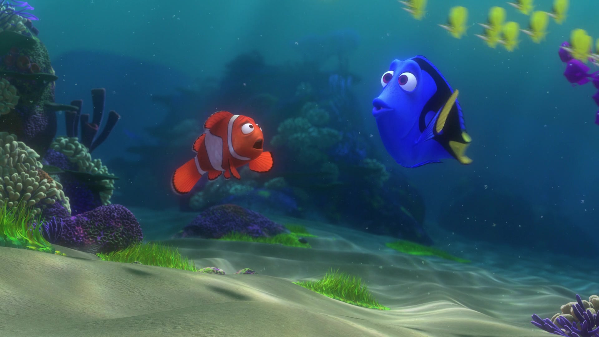 Finding Nemo (2003) Screencap | Fancaps