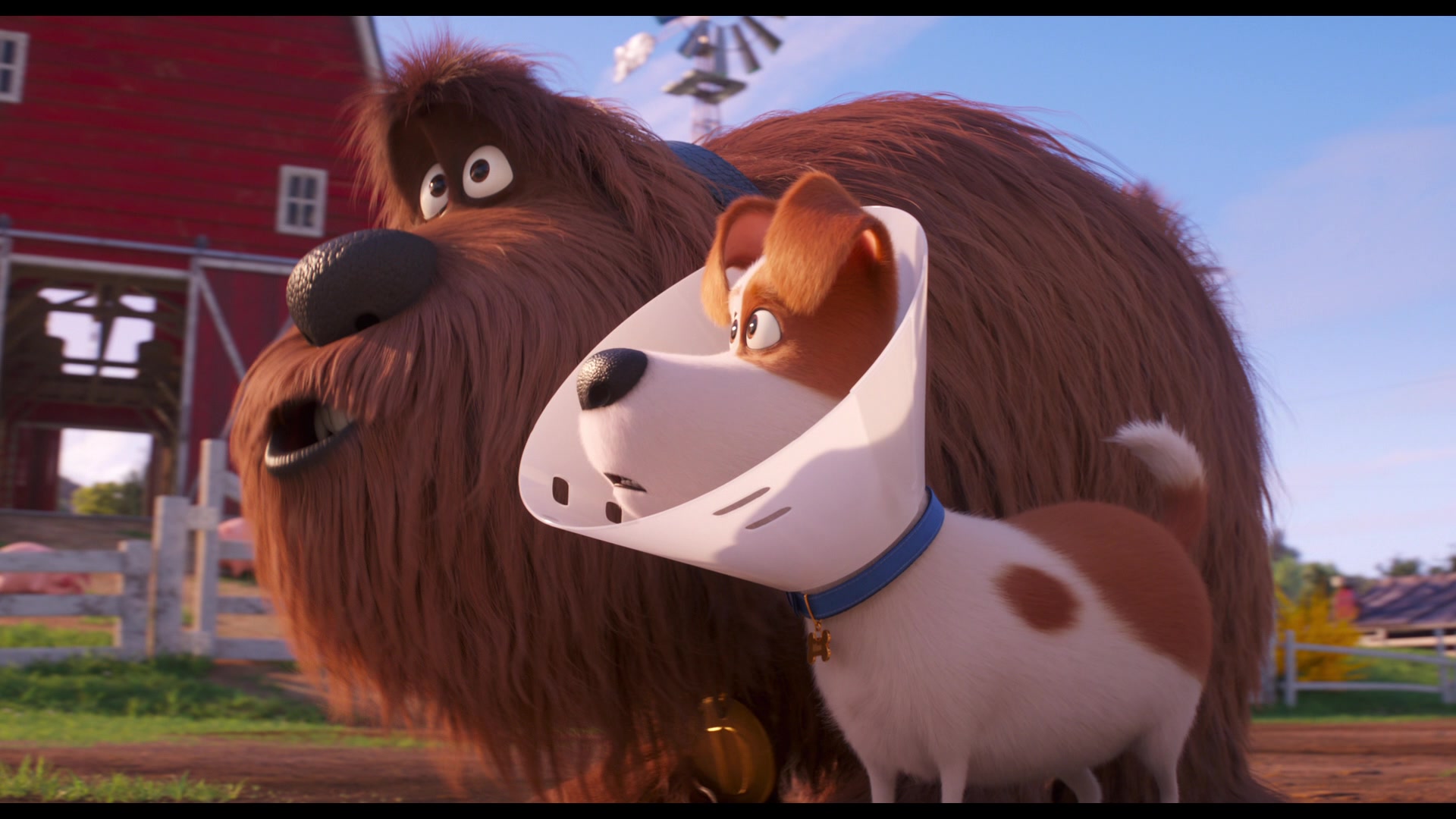 The Secret Life of Pets 2 (2019) Screencap | Fancaps