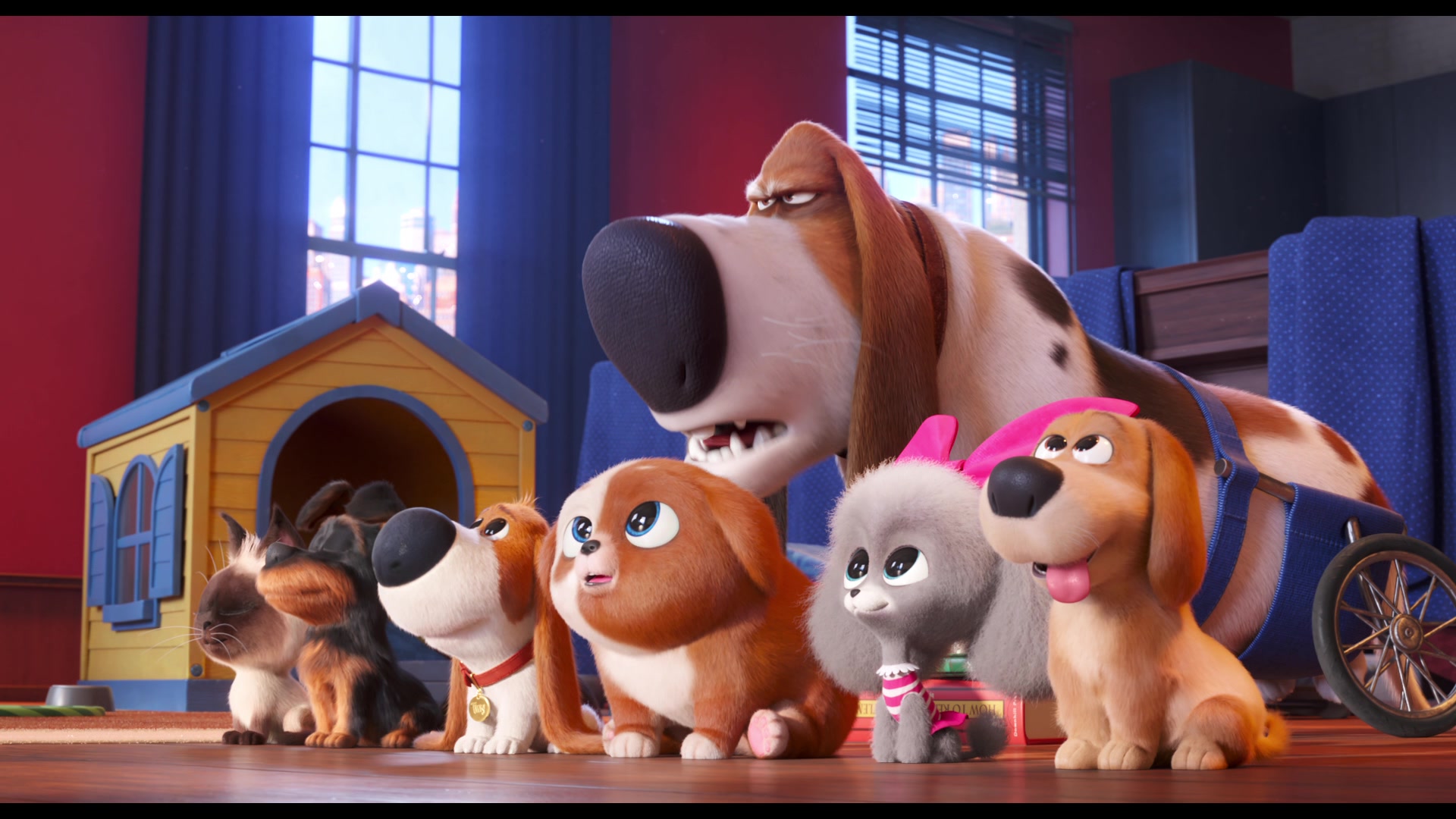 The Secret Life of Pets 2 (2019) Screencap | Fancaps