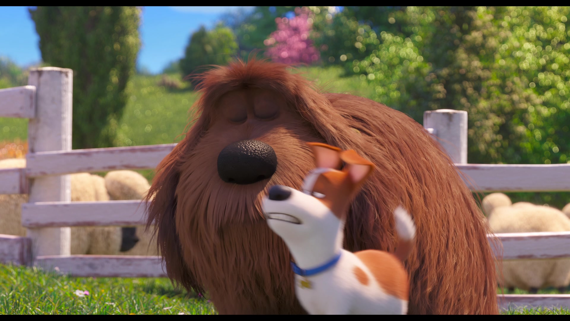 The Secret Life of Pets 2 (2019) Screencap | Fancaps