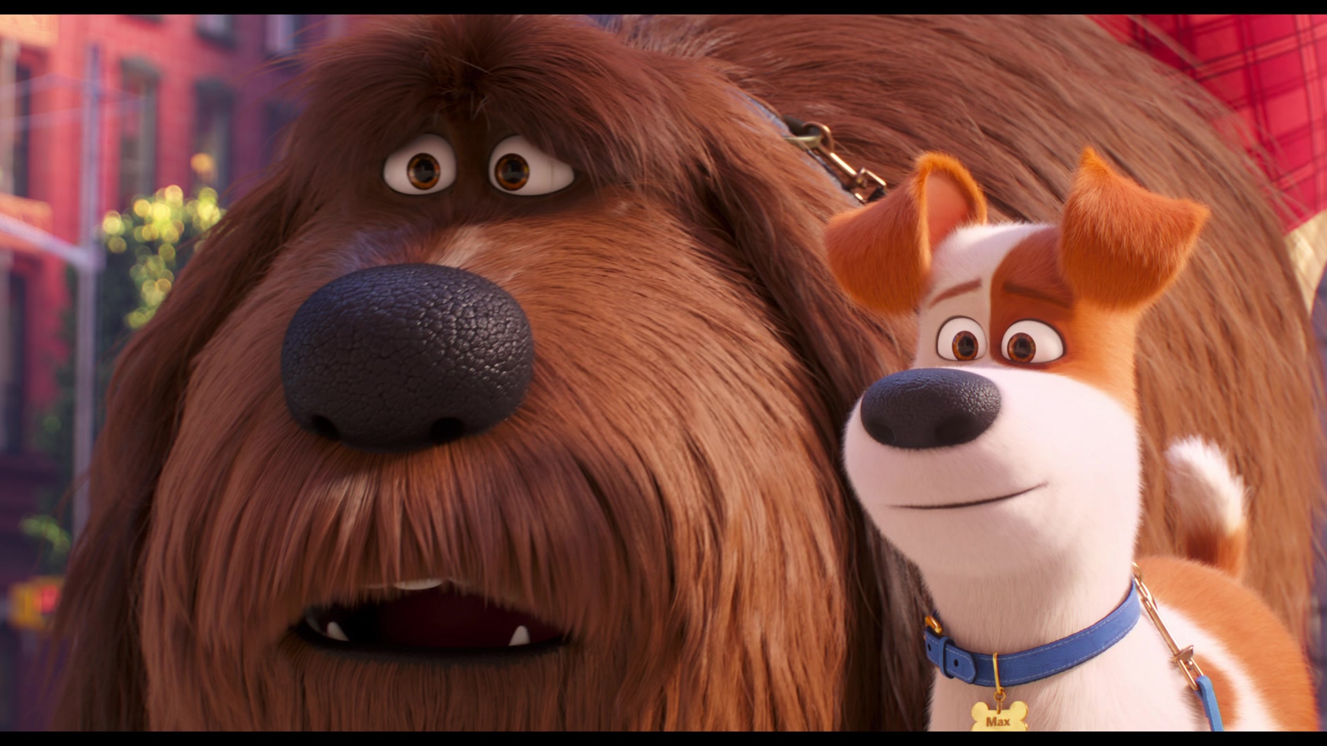 The Secret Life of Pets 2 (2019) Screencap | Fancaps