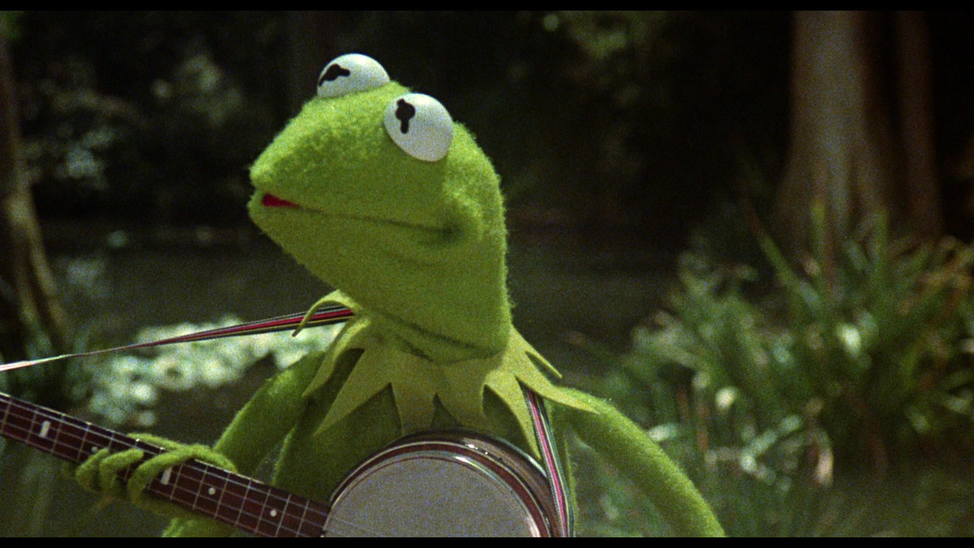 The Muppet Movie (1979) Screencap | Fancaps