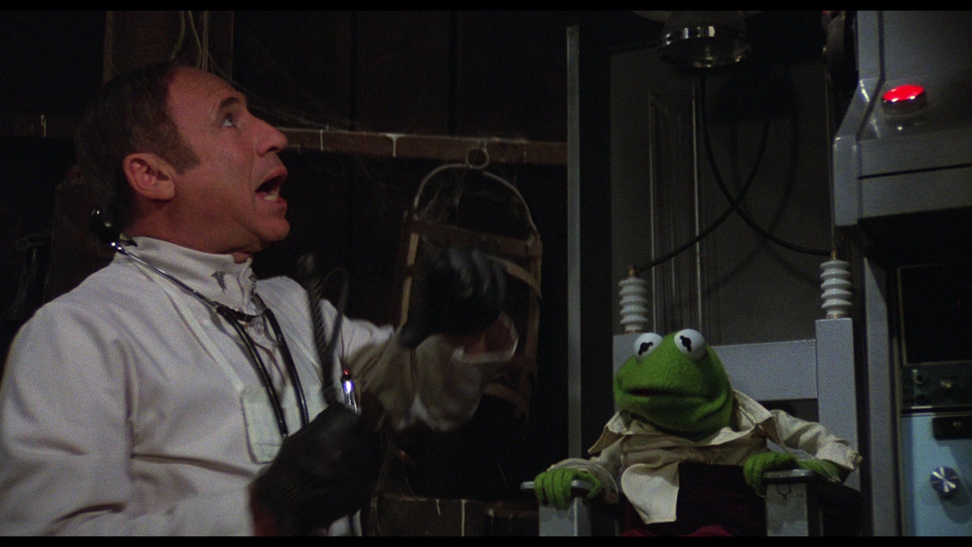 The Muppet Movie (1979) Screencap | Fancaps