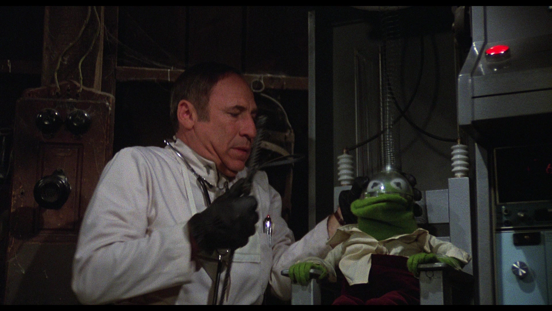 The Muppet Movie (1979) Screencap | Fancaps