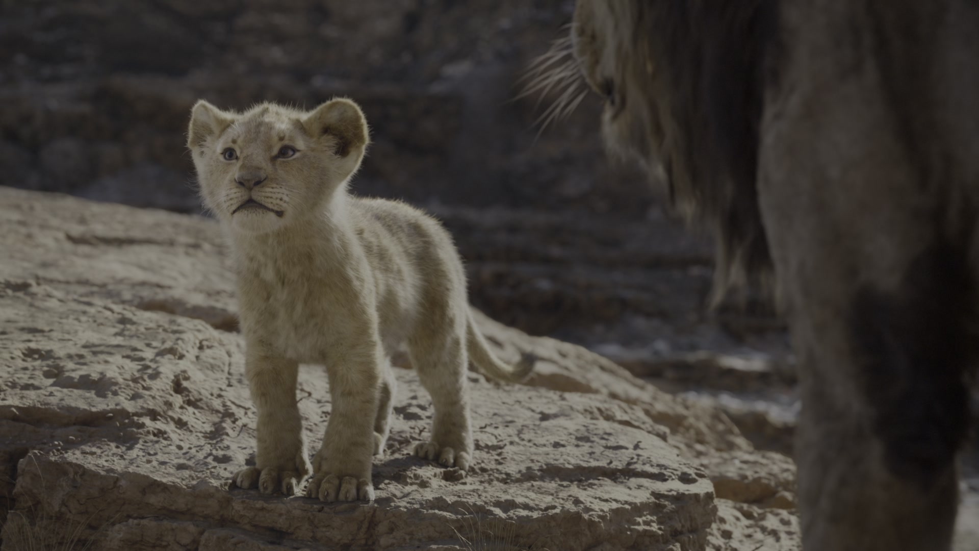 The Lion King (2019) Screencap | Fancaps