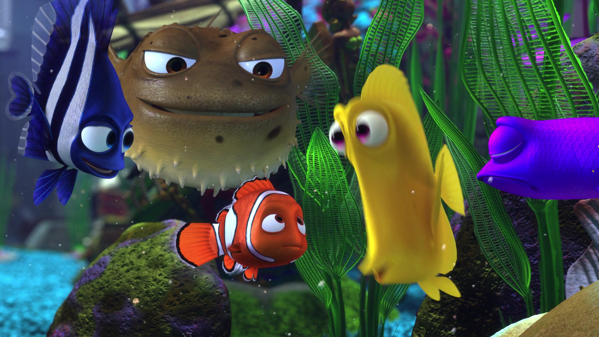 Finding Nemo (2003) Screencap | Fancaps