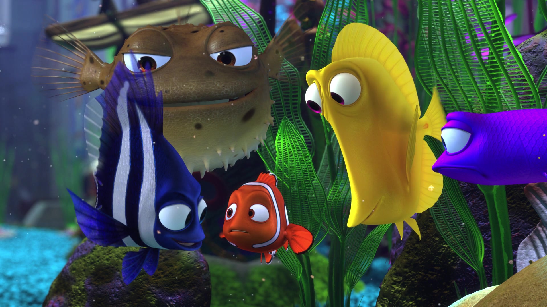 Finding Nemo (2003) Screencap | Fancaps