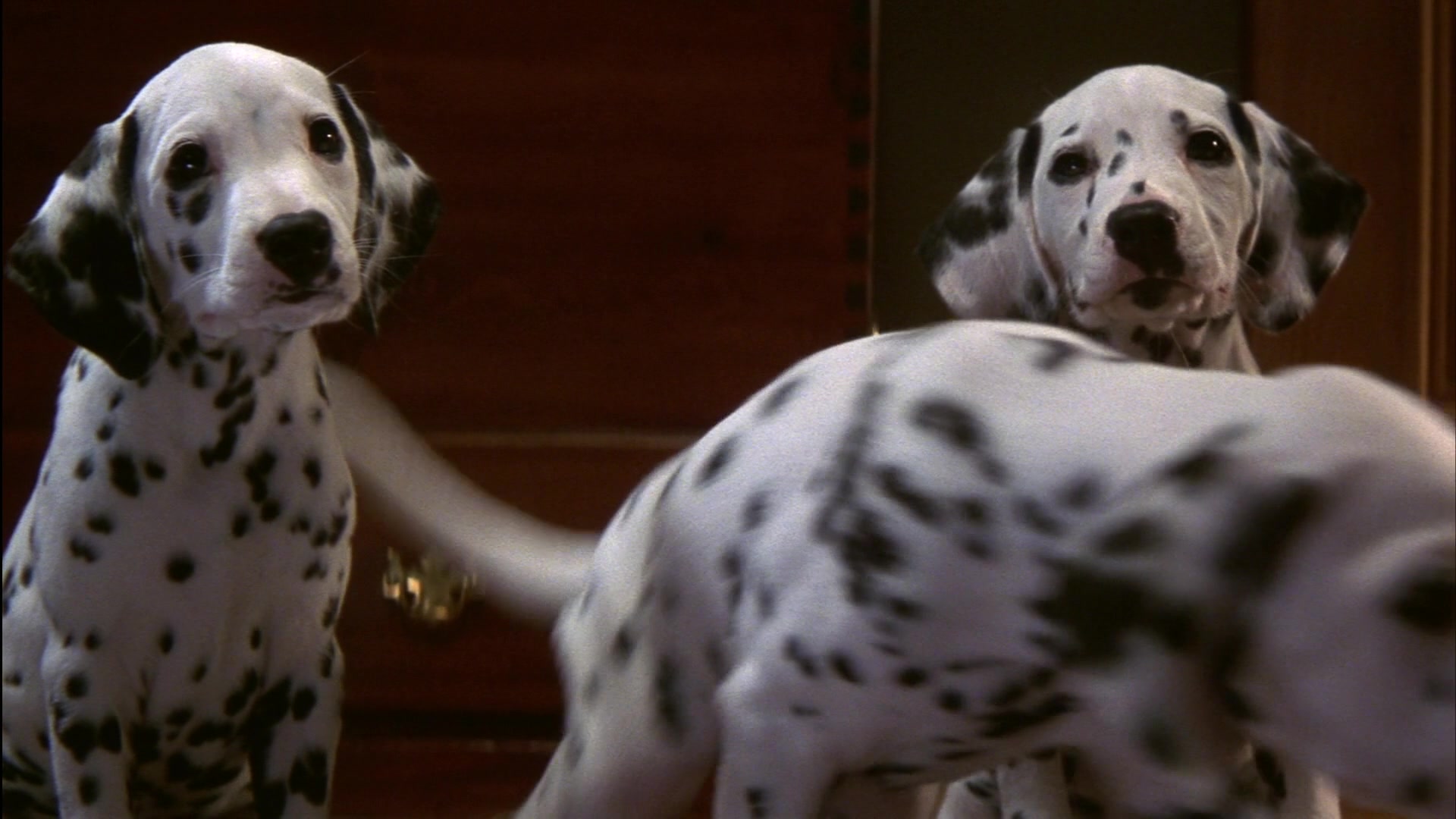 101 Dalmatians (1996) Screencap | Fancaps