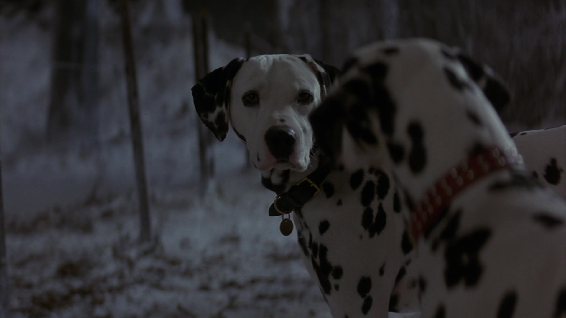 101 Dalmatians 1996 Screencap Fancaps