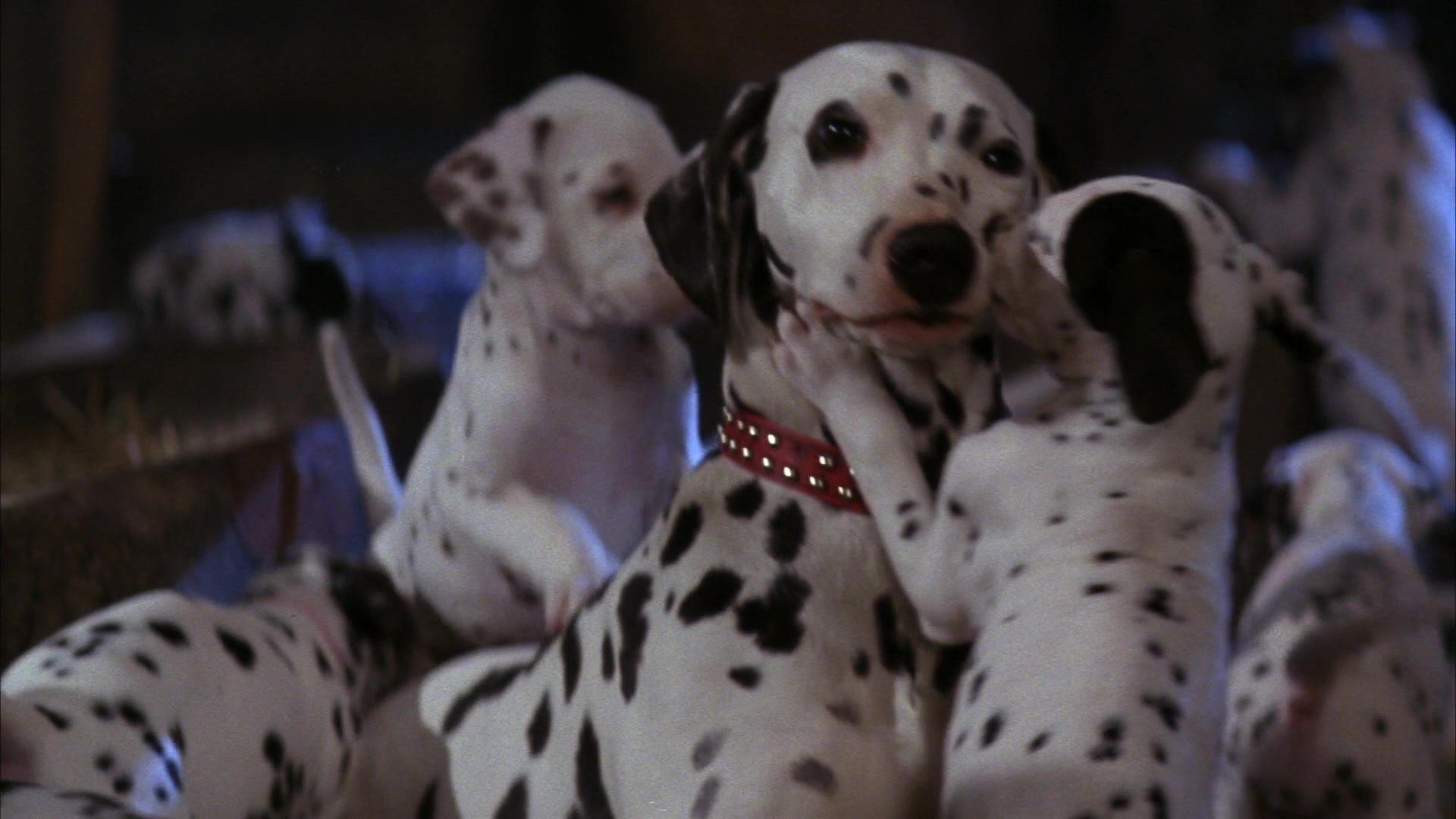 101 Dalmatians 1996 Screencap Fancaps