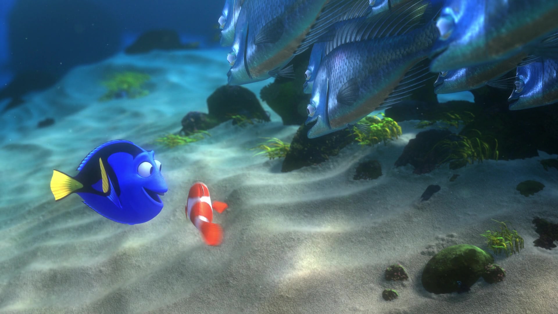 Finding Nemo (2003) Screencap | Fancaps