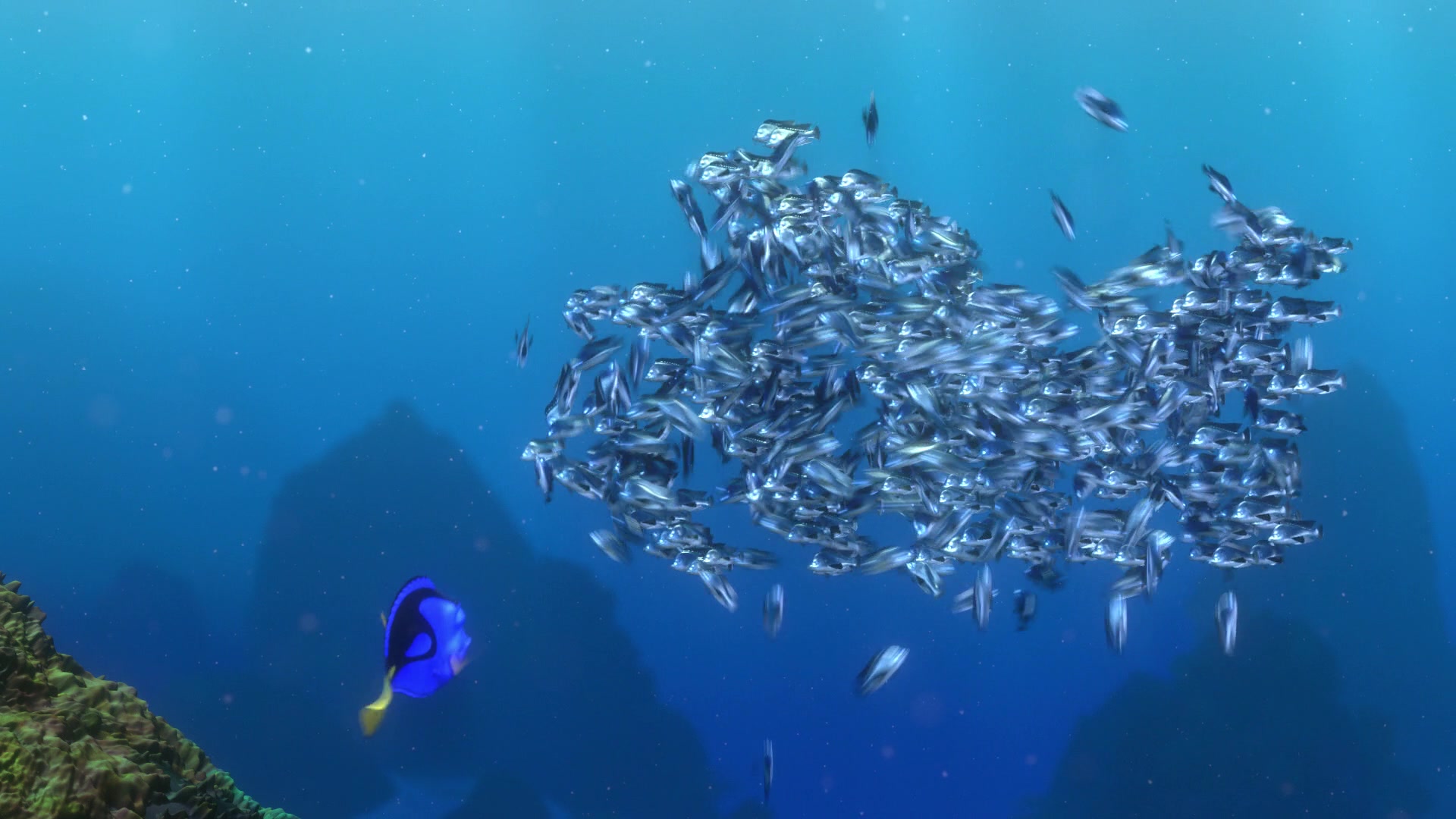 Finding Nemo (2003) Screencap | Fancaps