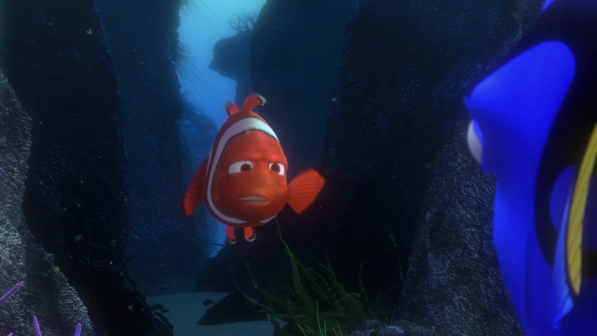 Finding Nemo (2003) Screencap | Fancaps