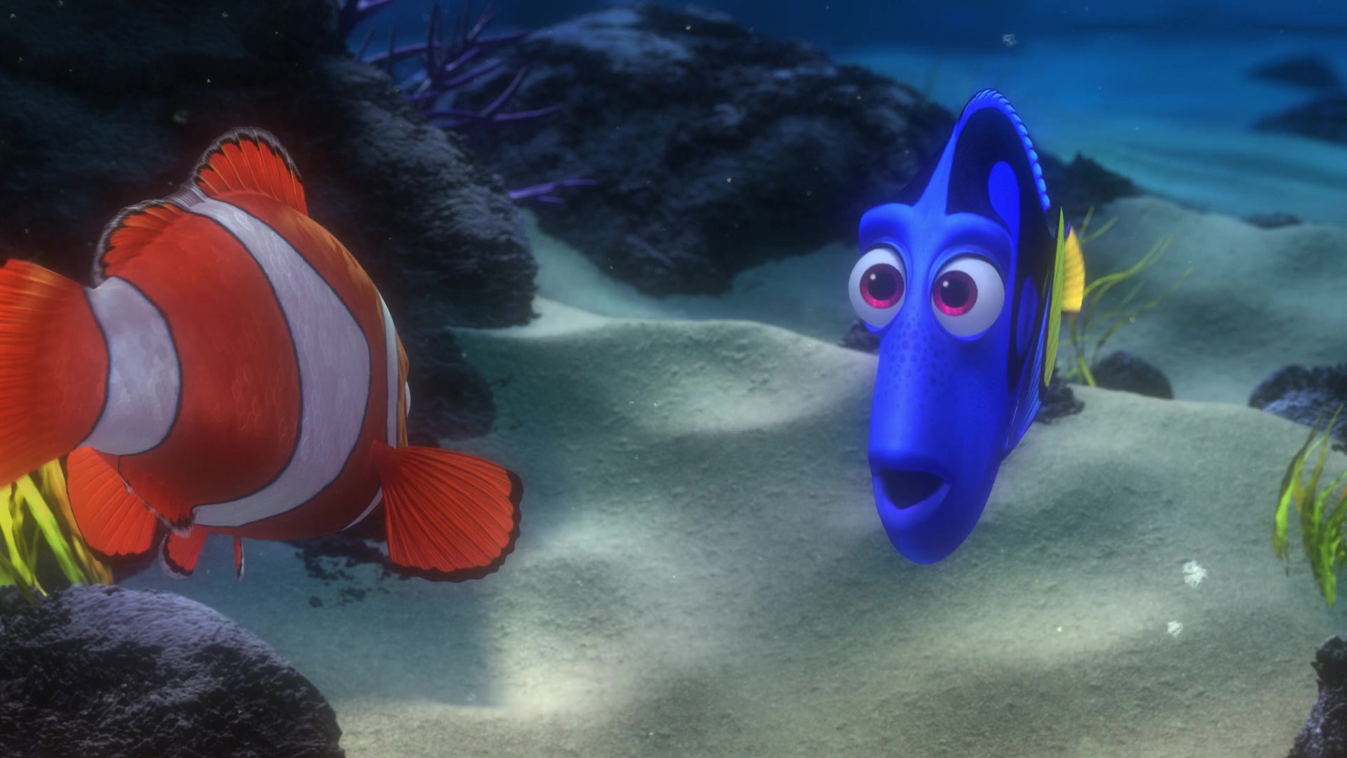 Finding Nemo (2003) Screencap | Fancaps