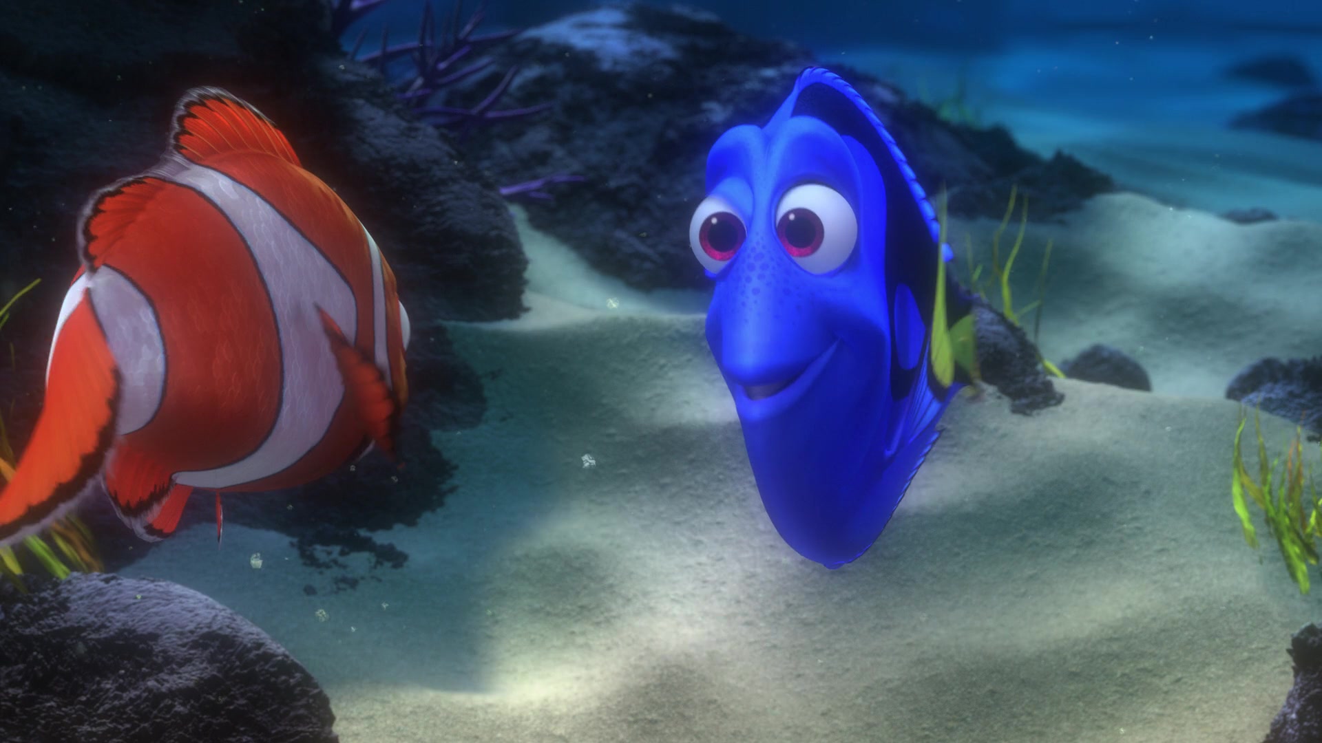 Finding Nemo (2003) Screencap | Fancaps