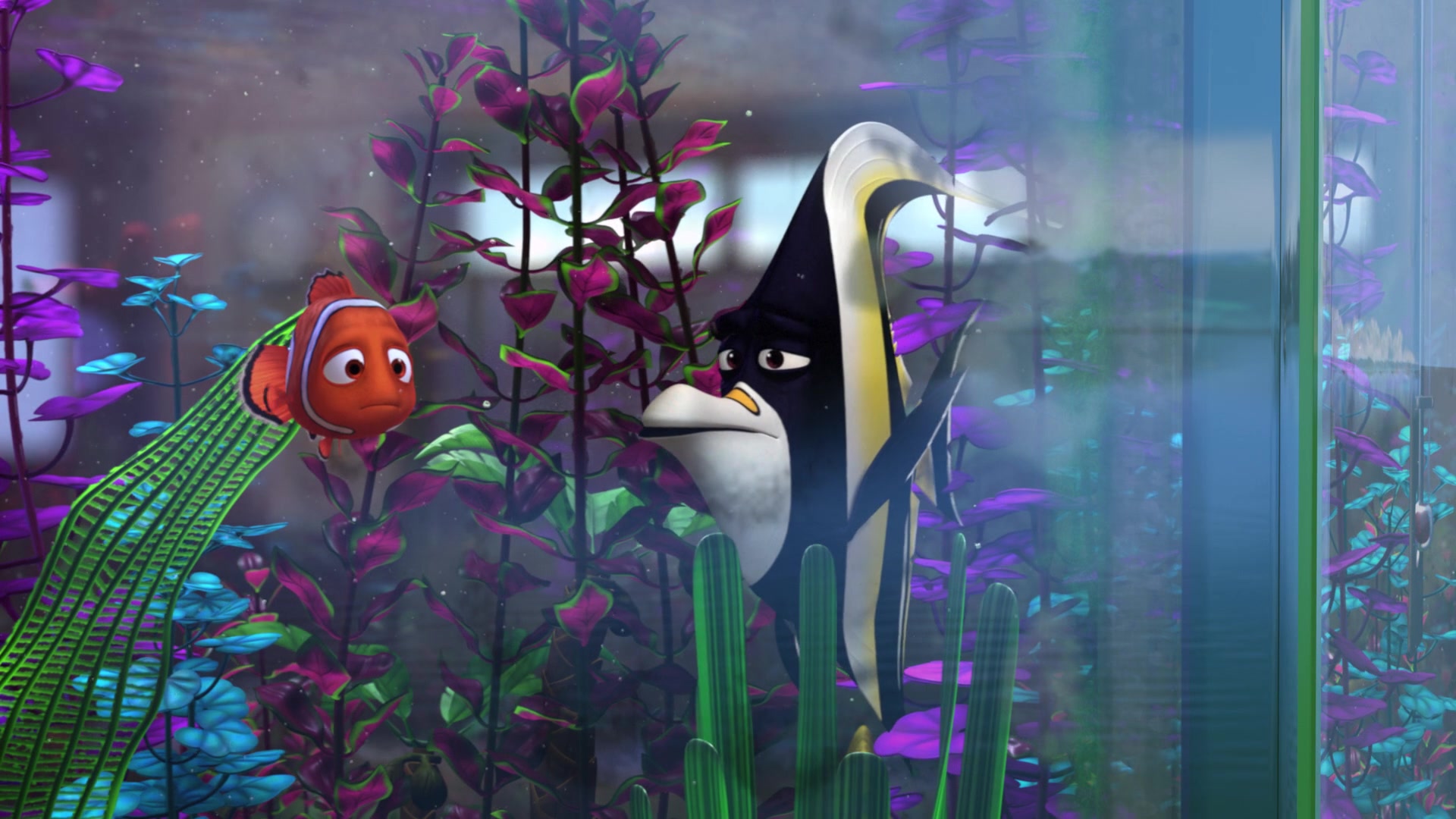 Finding Nemo (2003) Screencap | Fancaps